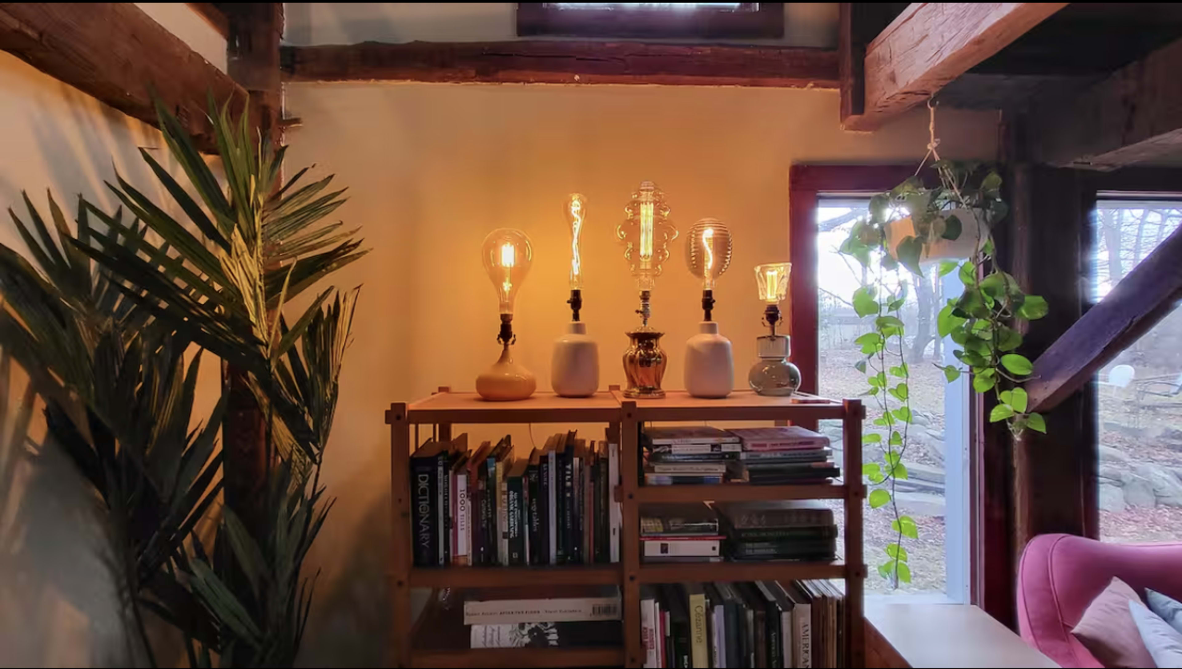 A wooden bookshelf displays a collection of books, while five vintage-style lamps illuminate the scene against a warm, indoor backdrop, complemented by a potted plant and a view of the outdoors through a window.