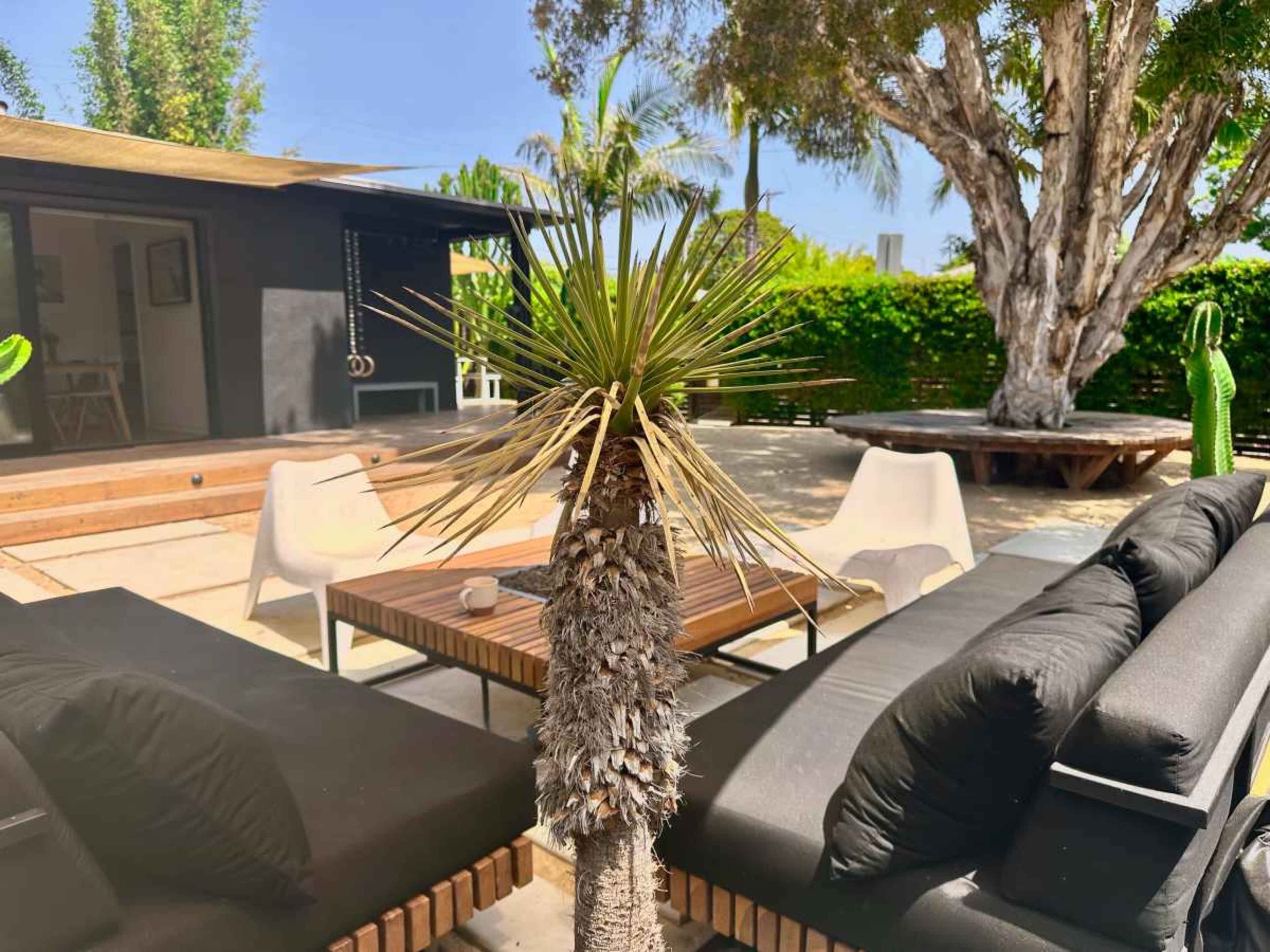 A small palm tree stands between two black couches in an outdoor patio area with a modern design, featuring a wooden table and a backdrop of greenery and a building.