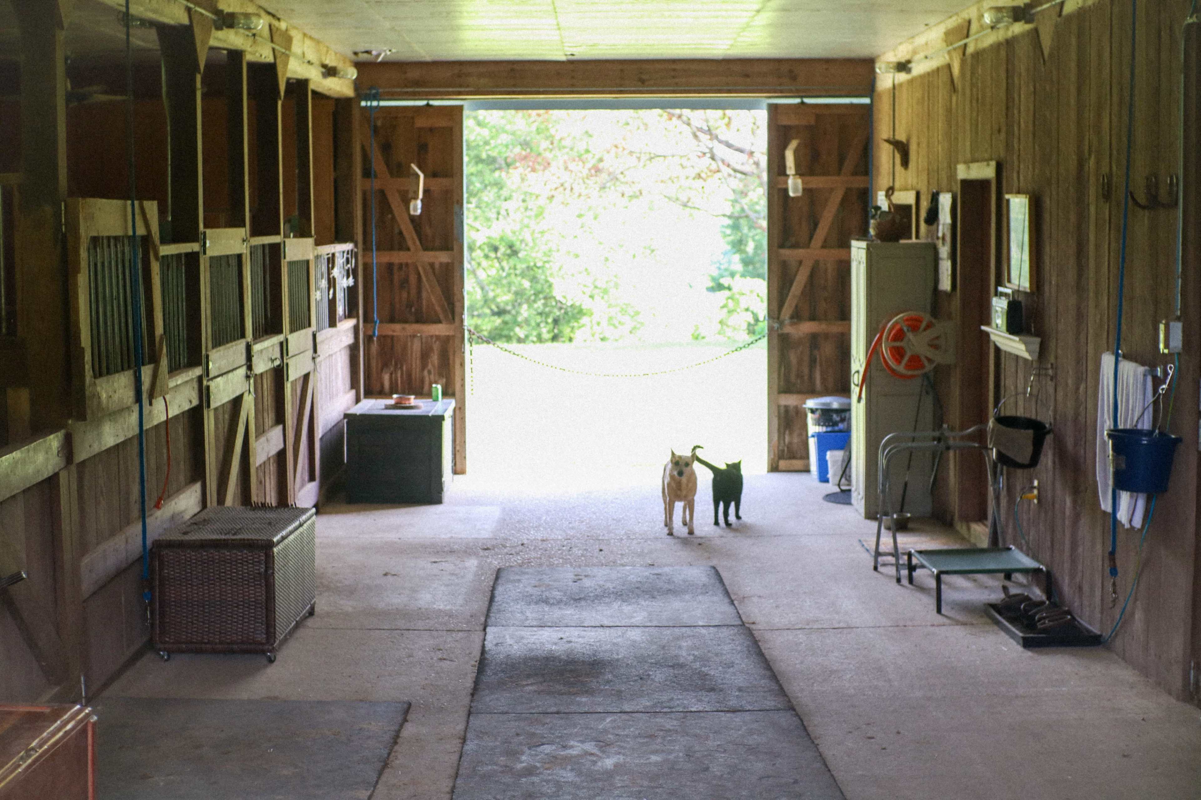 Cozy Country Close to Town Image in Madison, Madison, TN