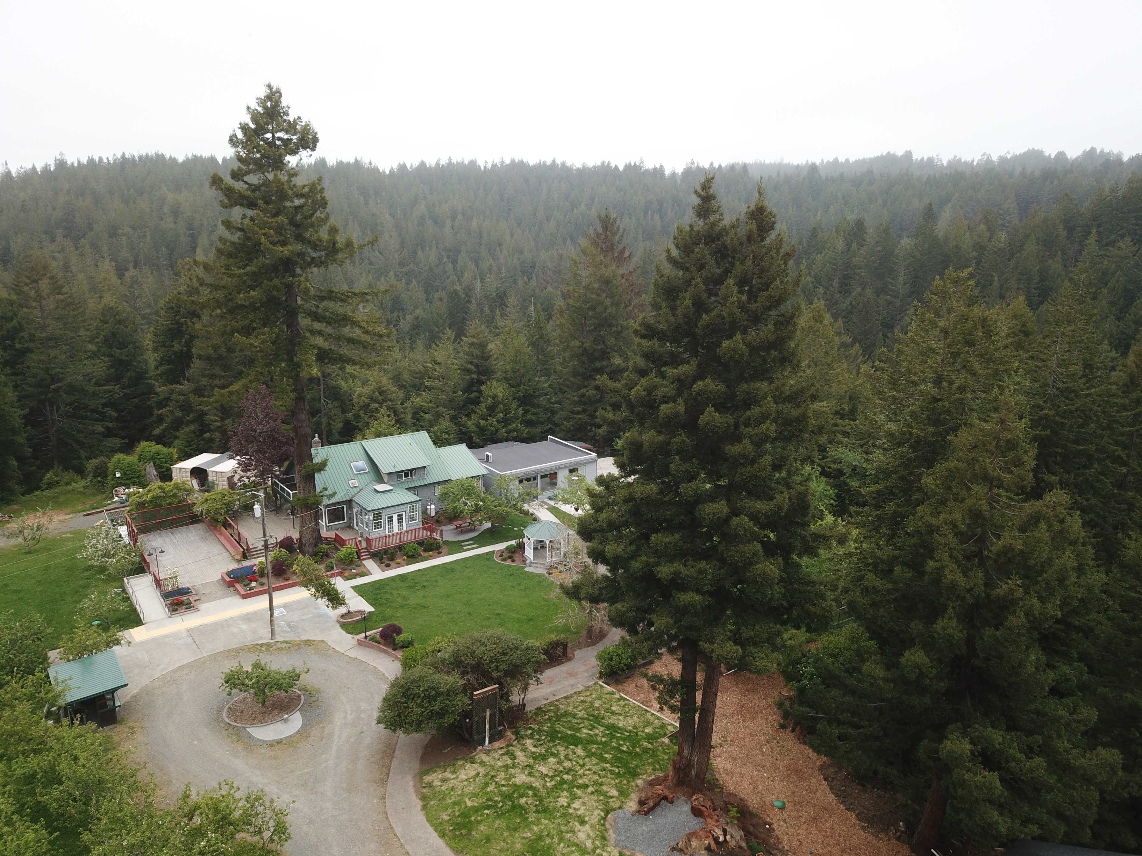 A panoramic view of a residential property surrounded by dense forest, featuring multiple buildings and landscaped areas.