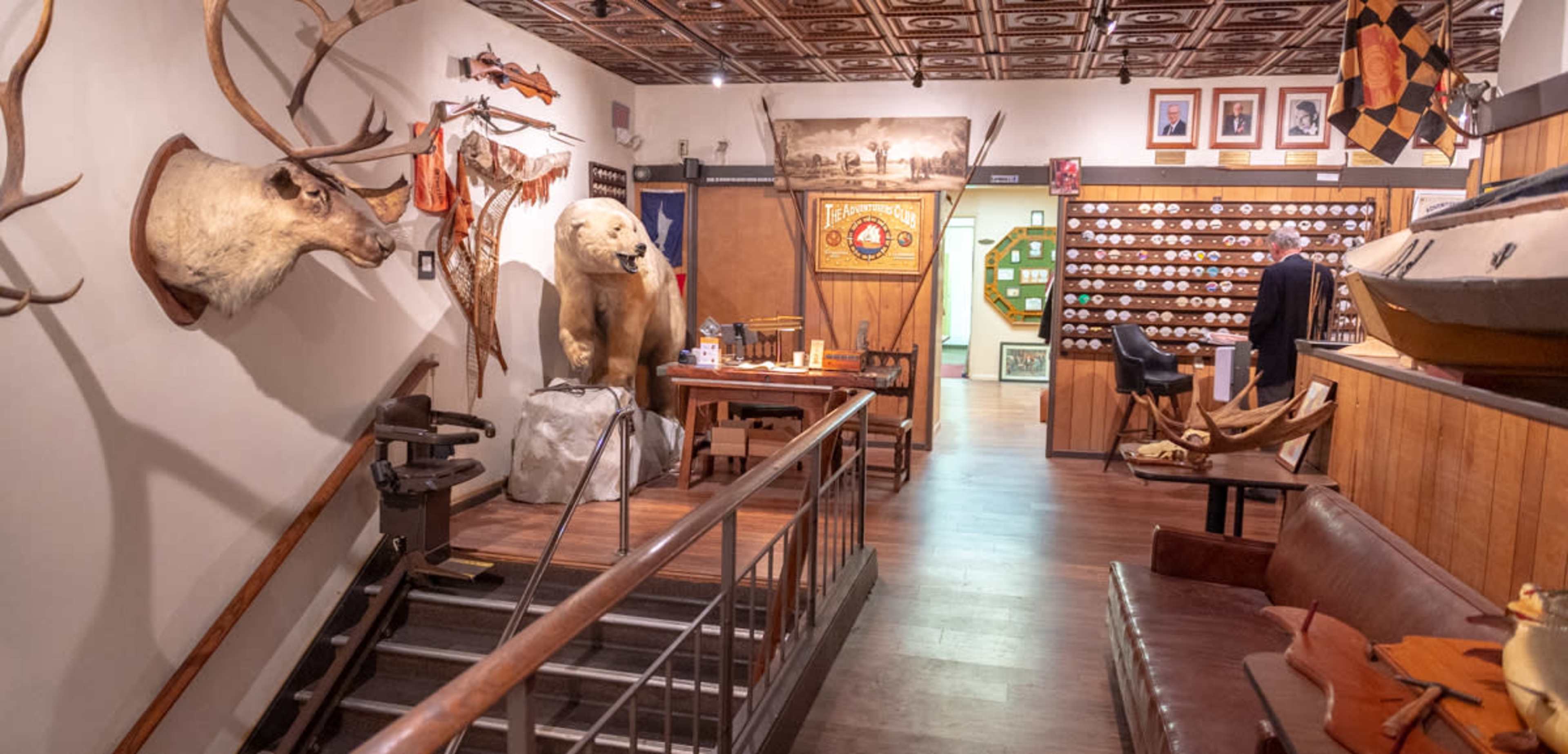 A museum exhibit featuring taxidermy animals, historical artifacts, and a wooden display area with seating and photographs on the walls.