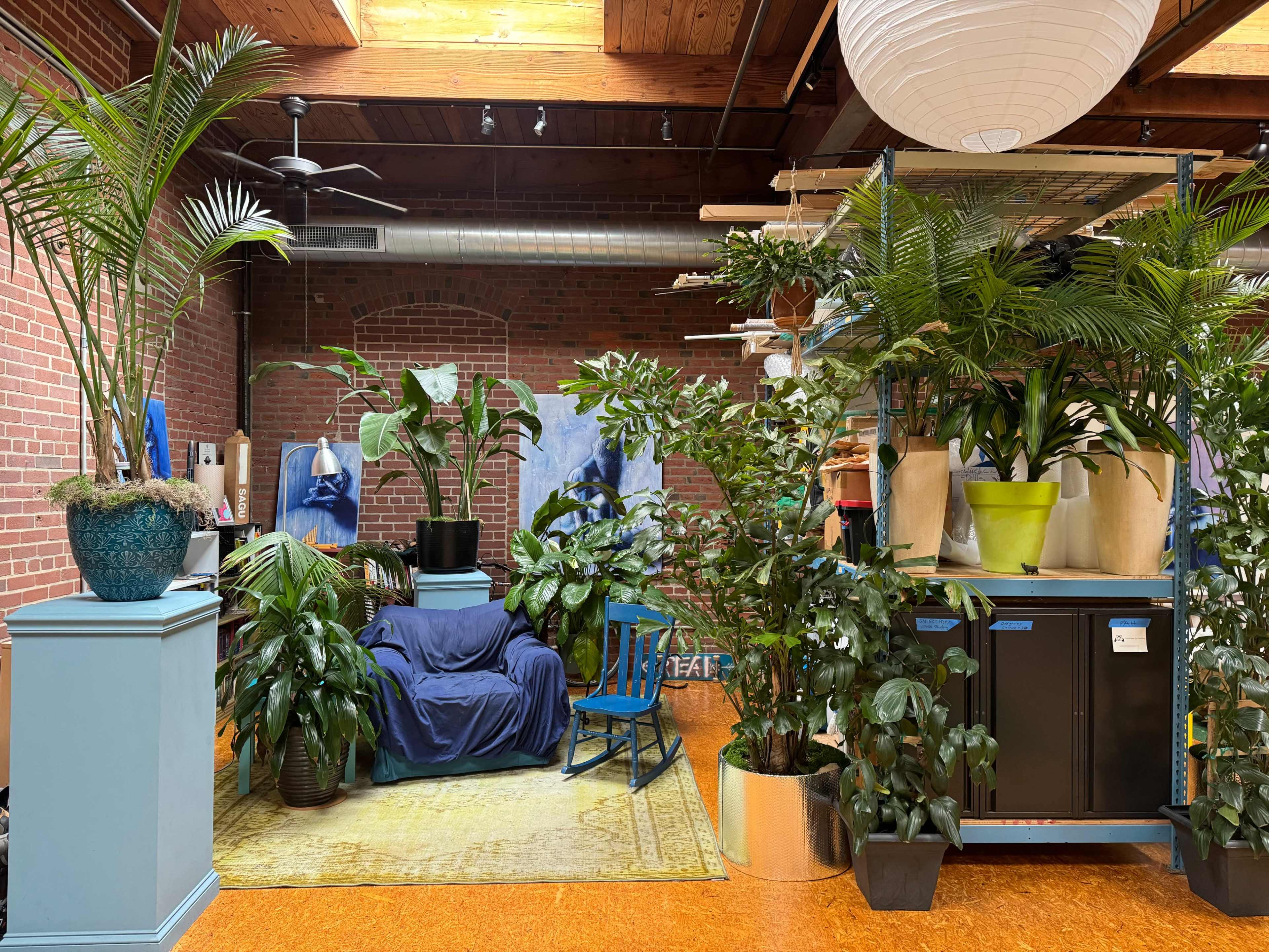 A cozy space features a blue couch surrounded by various potted plants, wooden beams overhead, and a bright rug on the floor.
