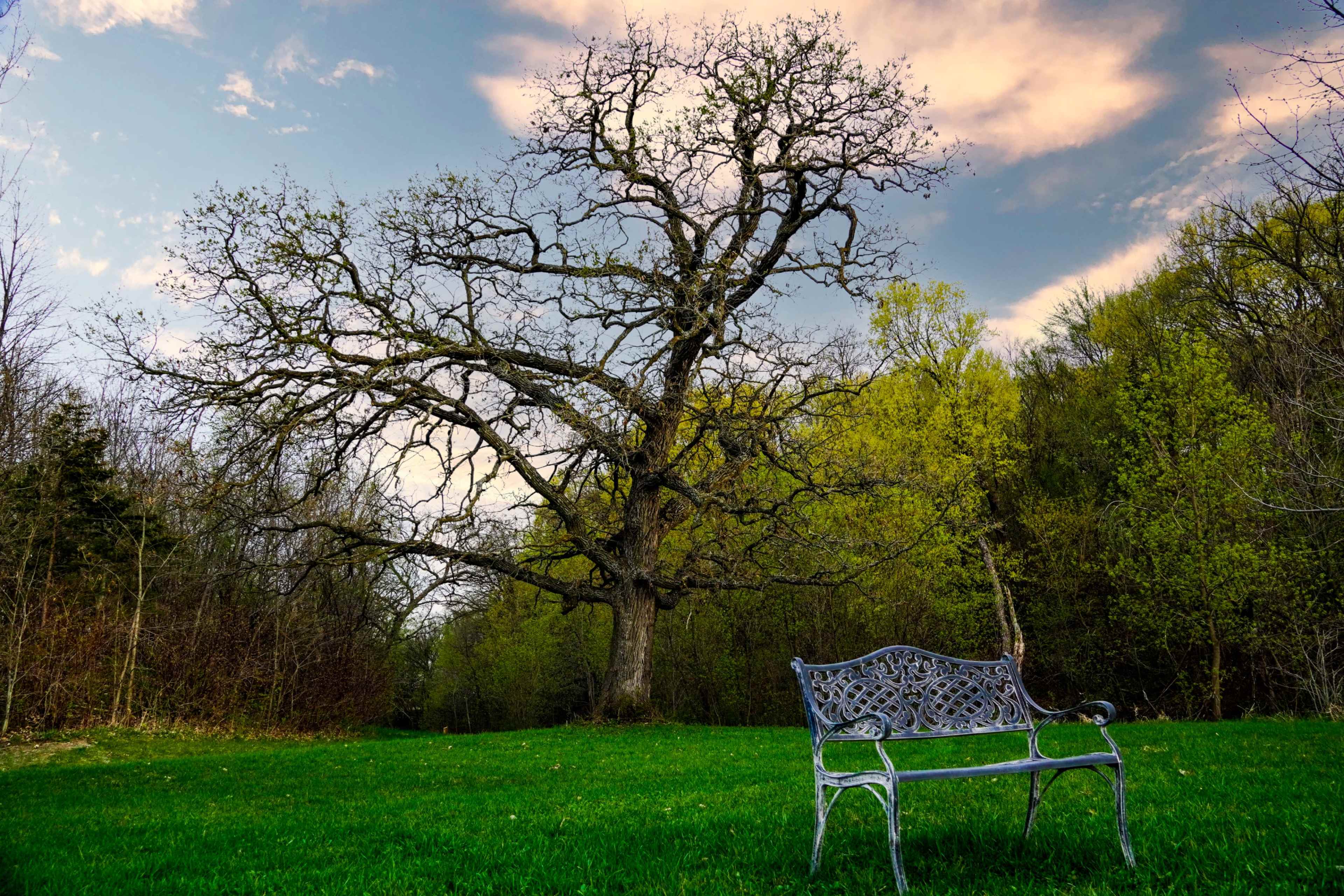 MN’s 1st Private Mental Health Park-Forested with Lakeshore on a private lake-40 mins west of the Twin Cities Image in , Watertown, MN