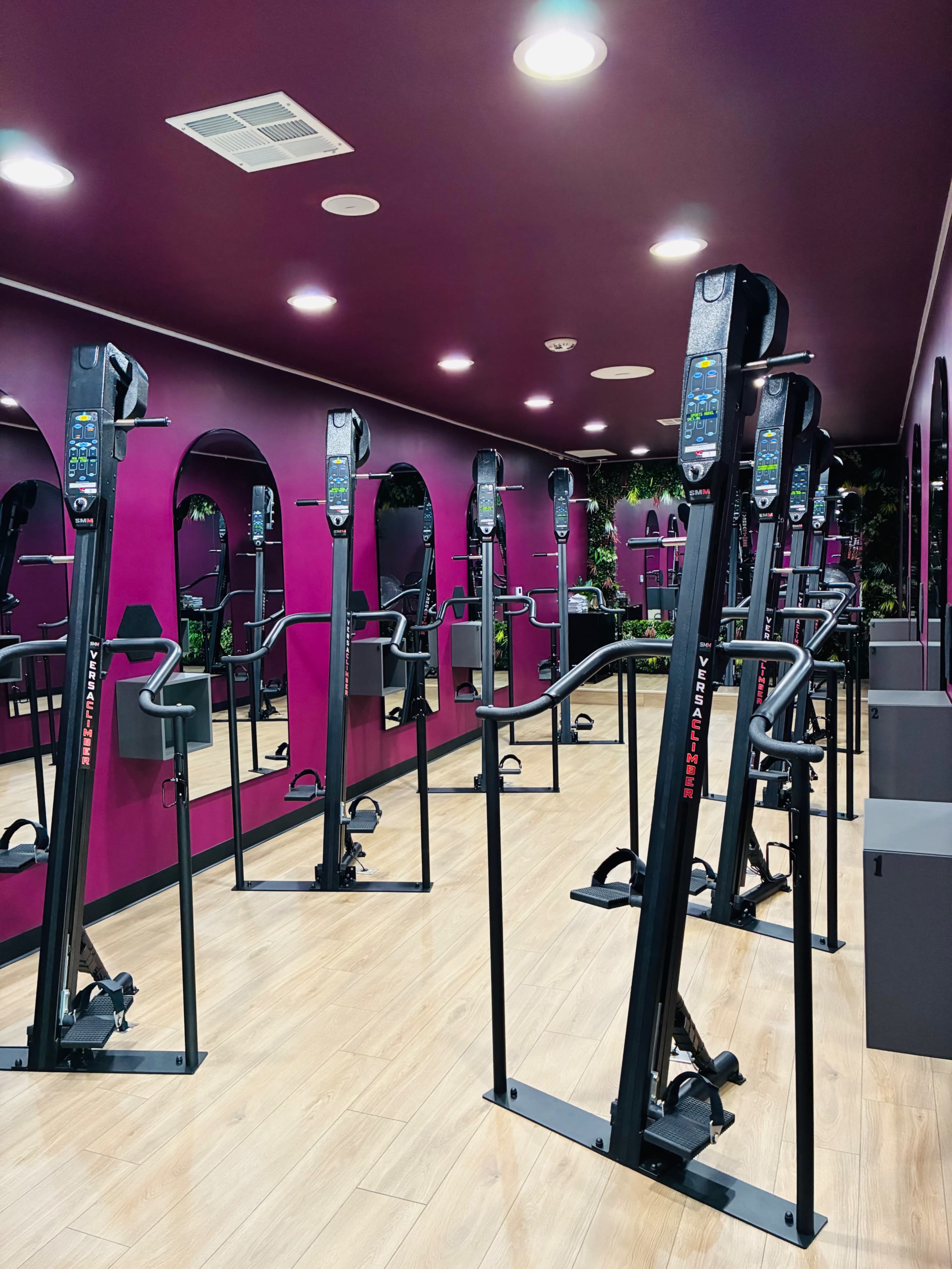 The image shows a modern gym interior with multiple exercise machines arranged in a spacious room featuring purple walls and wooden flooring.