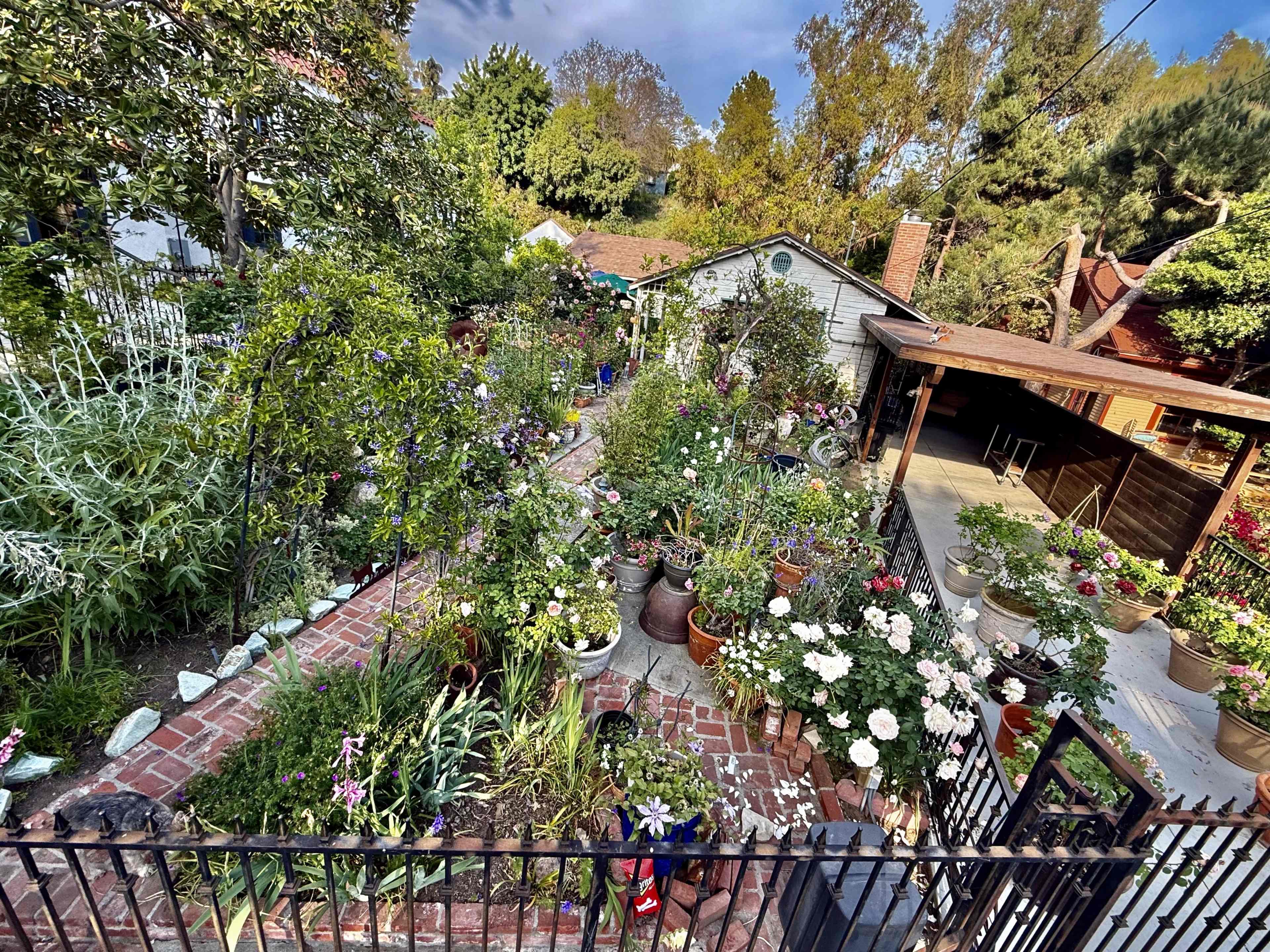 Expansive garden and outdoor space with covered driveway. In the heart of the Hollywood foothills, walking distance from the Hollywood Bowl and Hollywood Reservoir. Flowing walkways with many delightful nooks. The space includes a wardrobe and makeup room, with shower and full bathroom. Kitchen available upon request. Sound system available upon request. Aerial drone photography and video available upon request. Image in Central LA, Los Angeles, CA