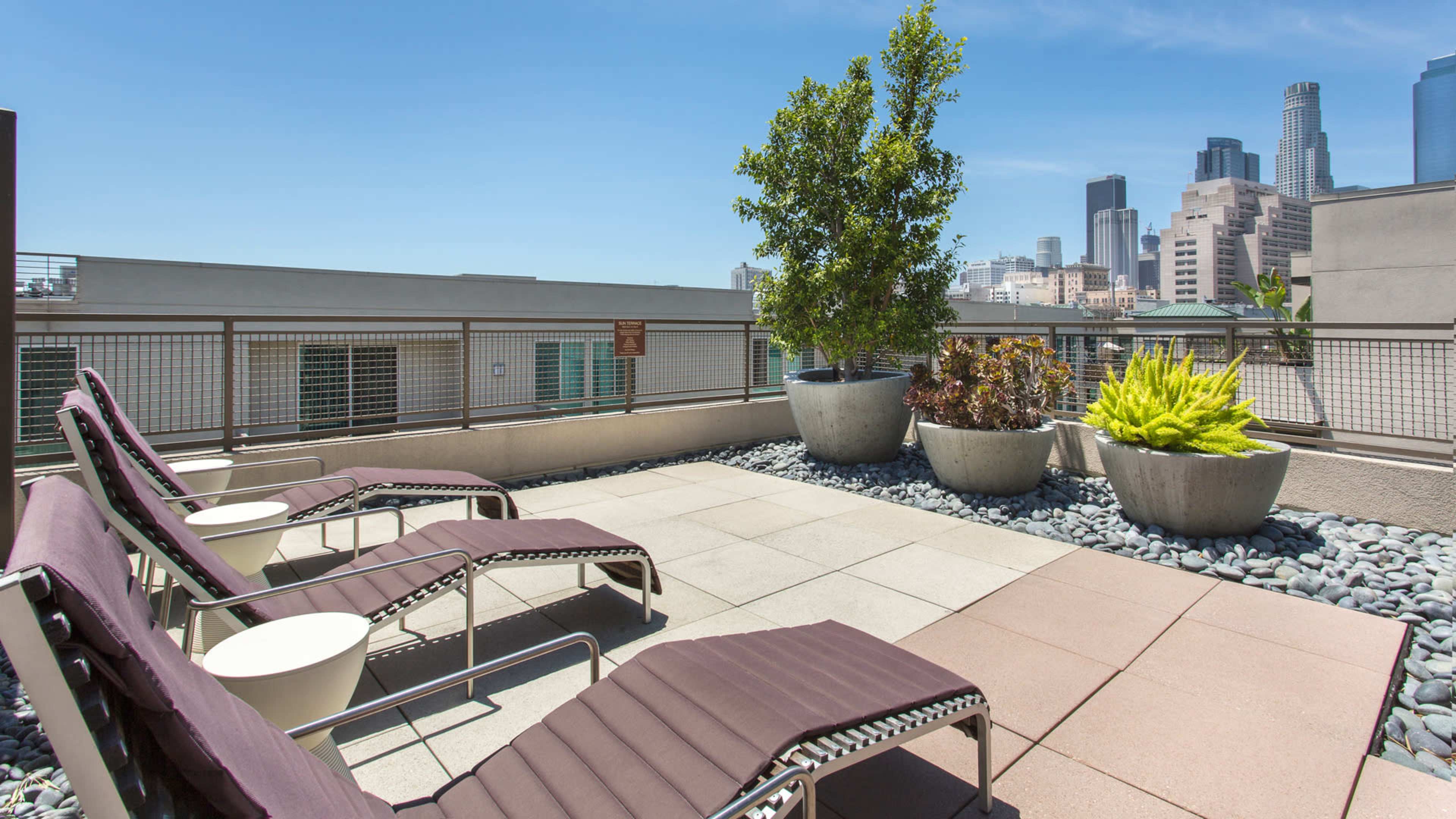 The image shows a rooftop terrace with several lounge chairs, potted plants, and a view of a city skyline.