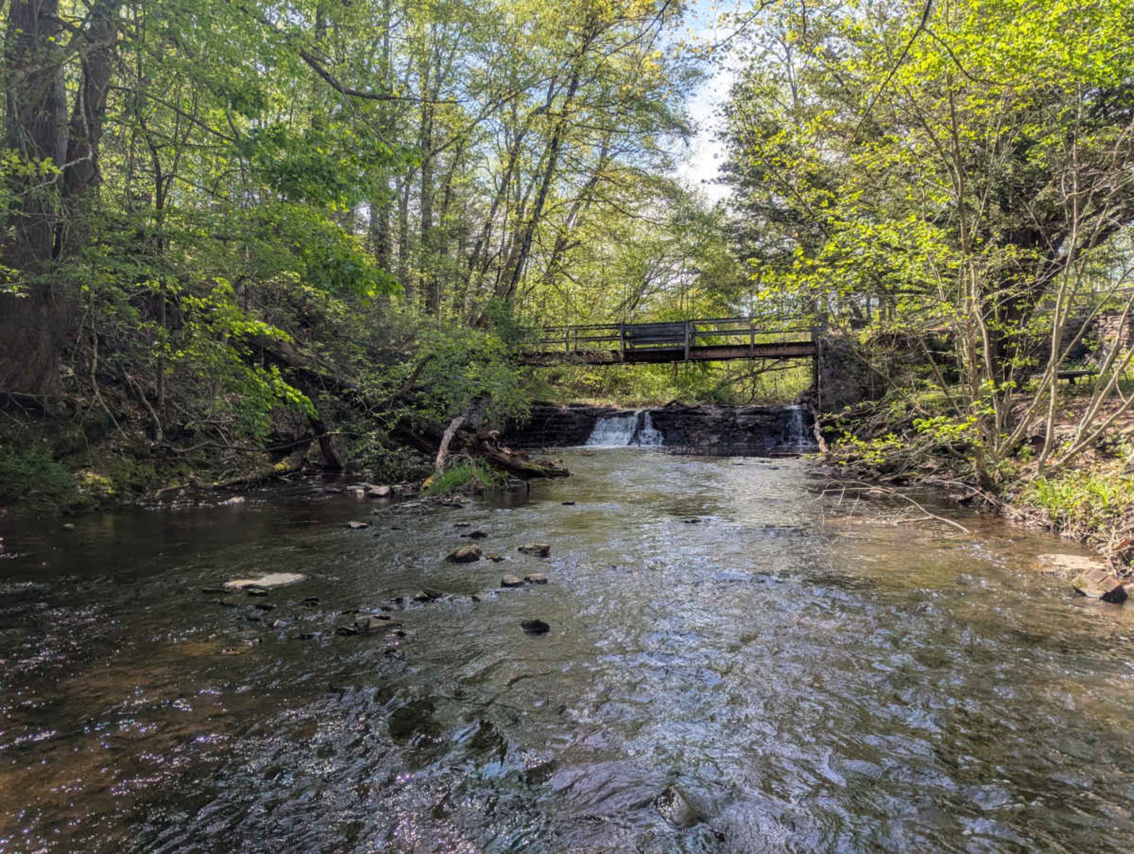 Nature Sanctuary Winding Brook with Historic Mill Bridges Woodland Estate Image in Bloomfield, Bloomfield, CT