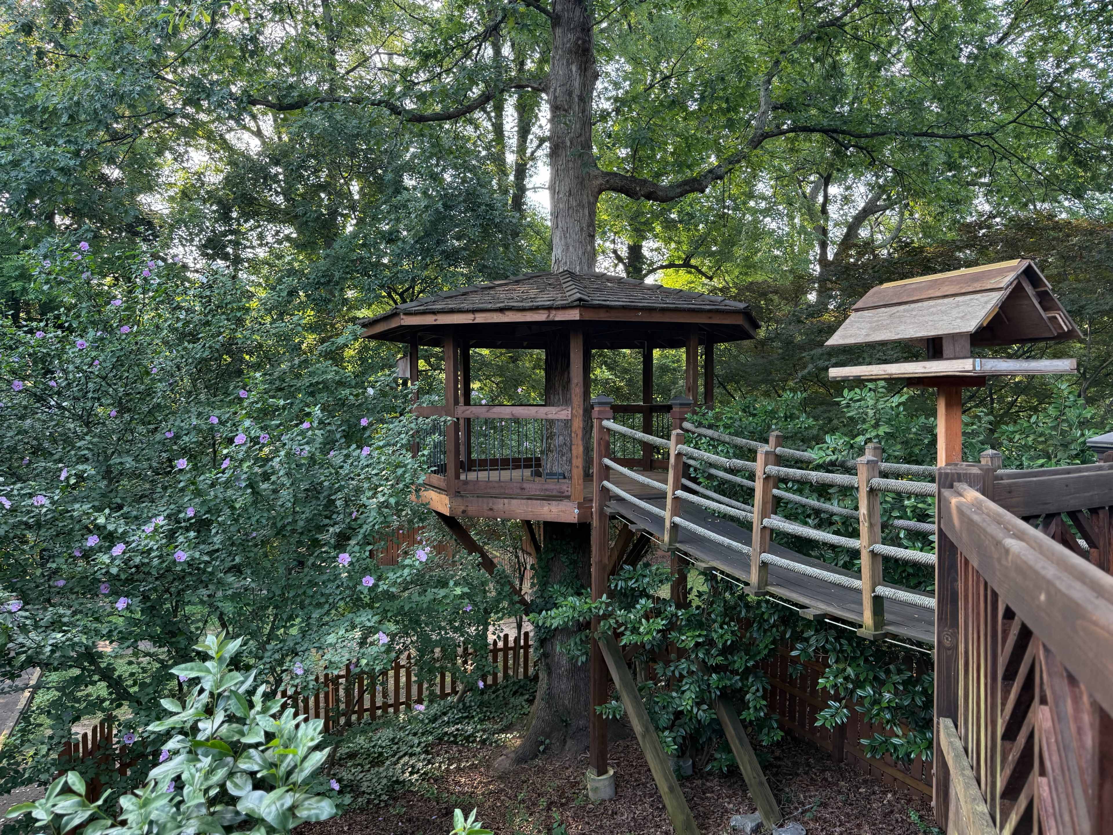 Magical Intown Backyard Oasis with Treehouse, Suspension Bridge, Pond & Lush Foliage Image in Atlanta, Atlanta, GA