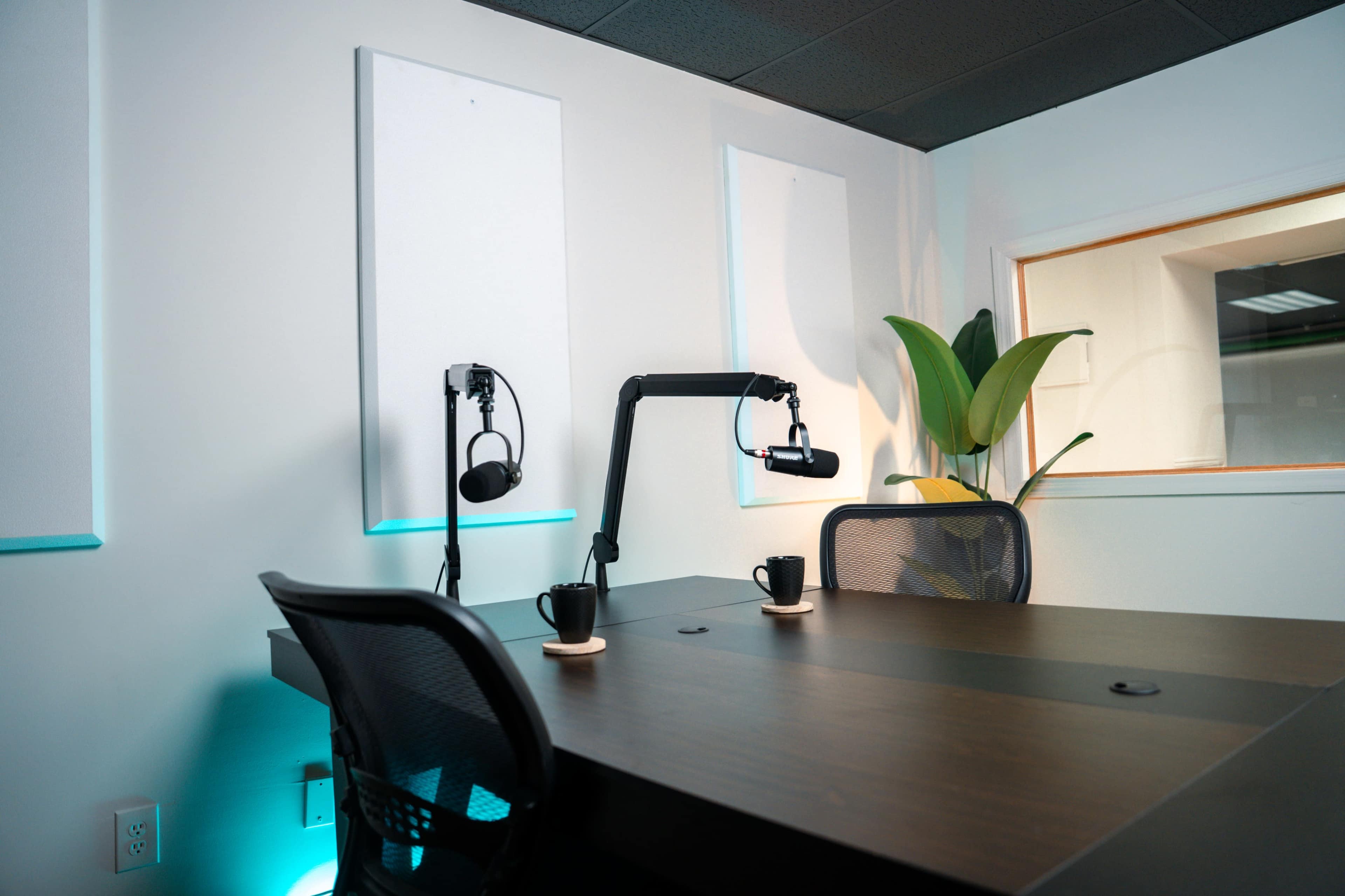 A modern podcast studio features a large table with two chairs, equipped with microphone arms, and has a plant in the corner by a window.