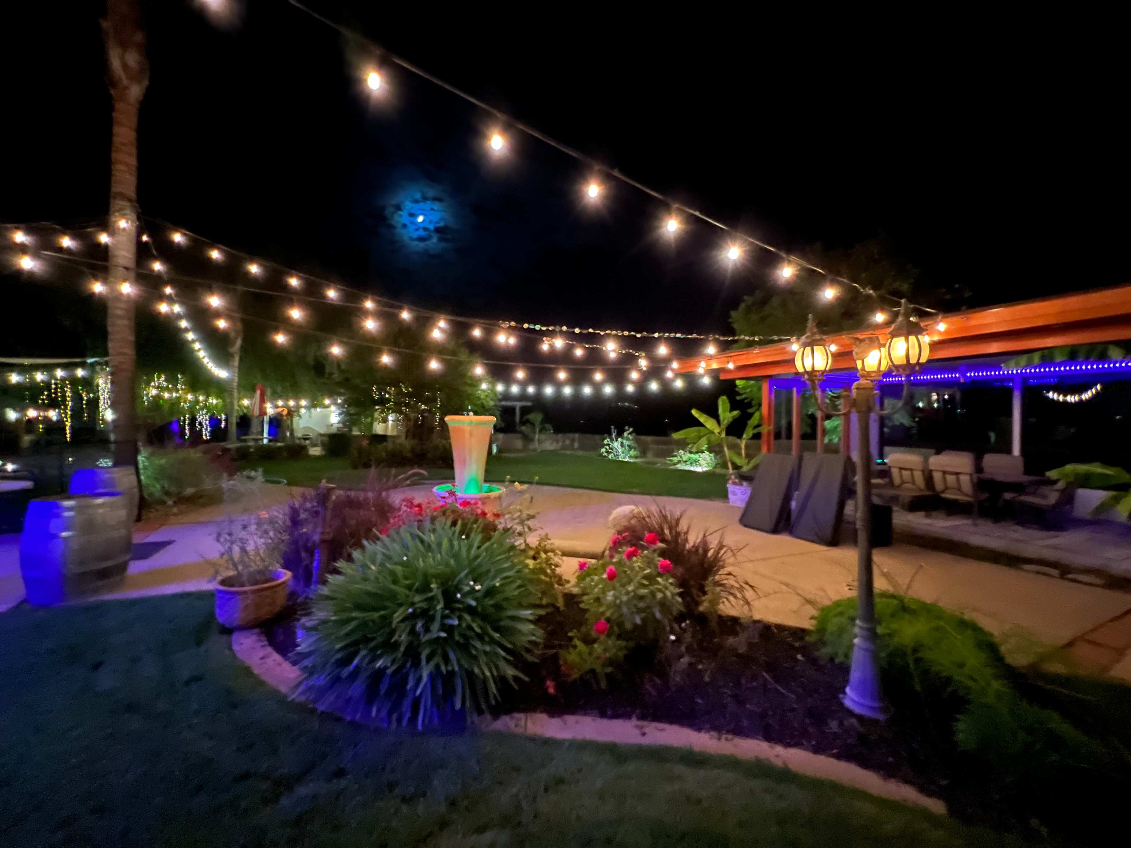 A backyard garden is illuminated by string lights and a glowing fountain under a full moon.