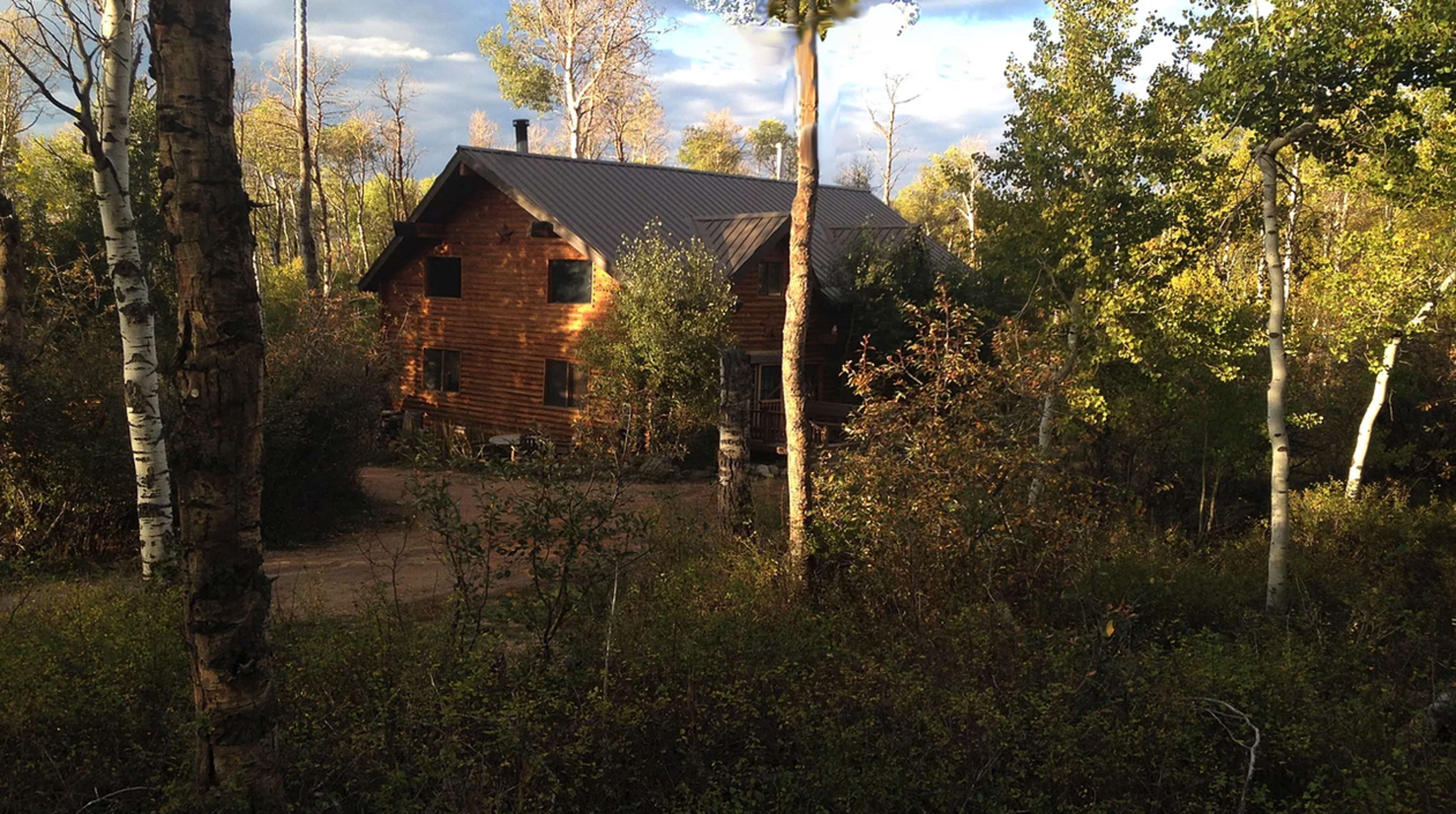 A log cabin is nestled among trees on a dirt path.