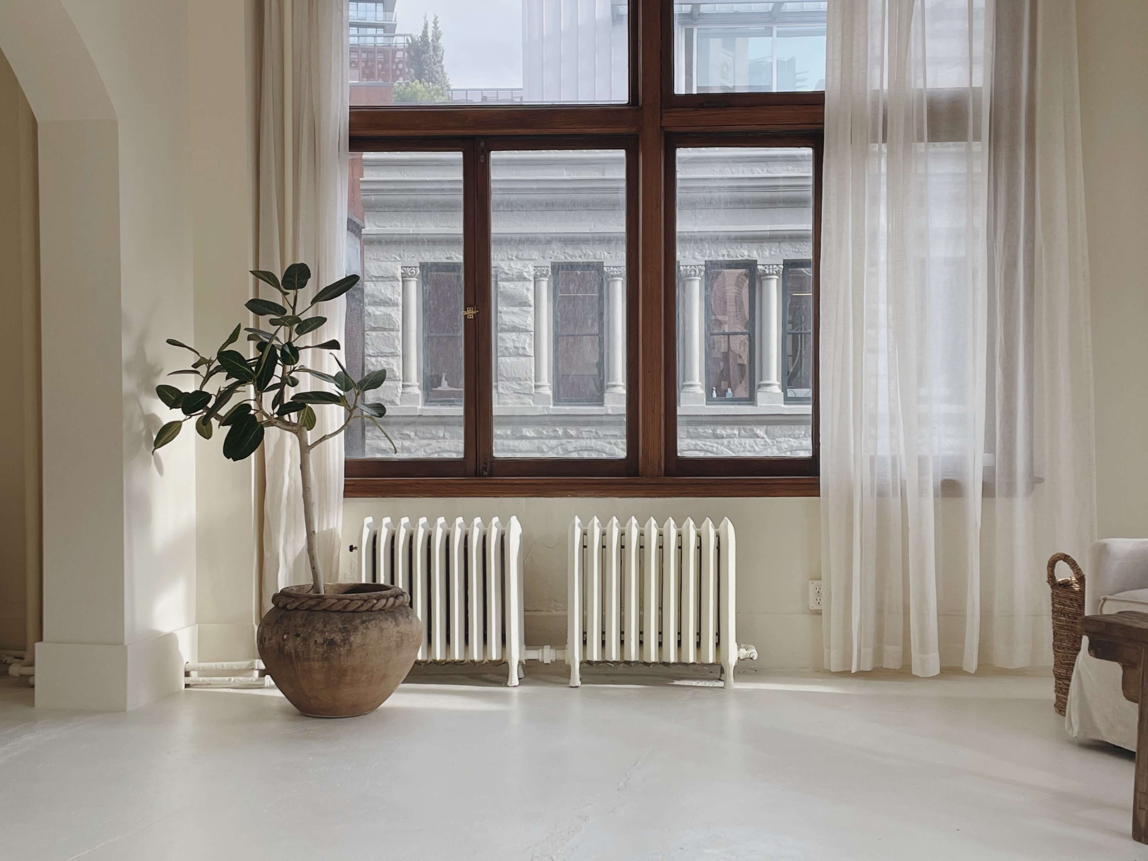 A potted plant stands beside a pair of white radiators under a large window with sheer curtains, revealing a view of an adjacent building.