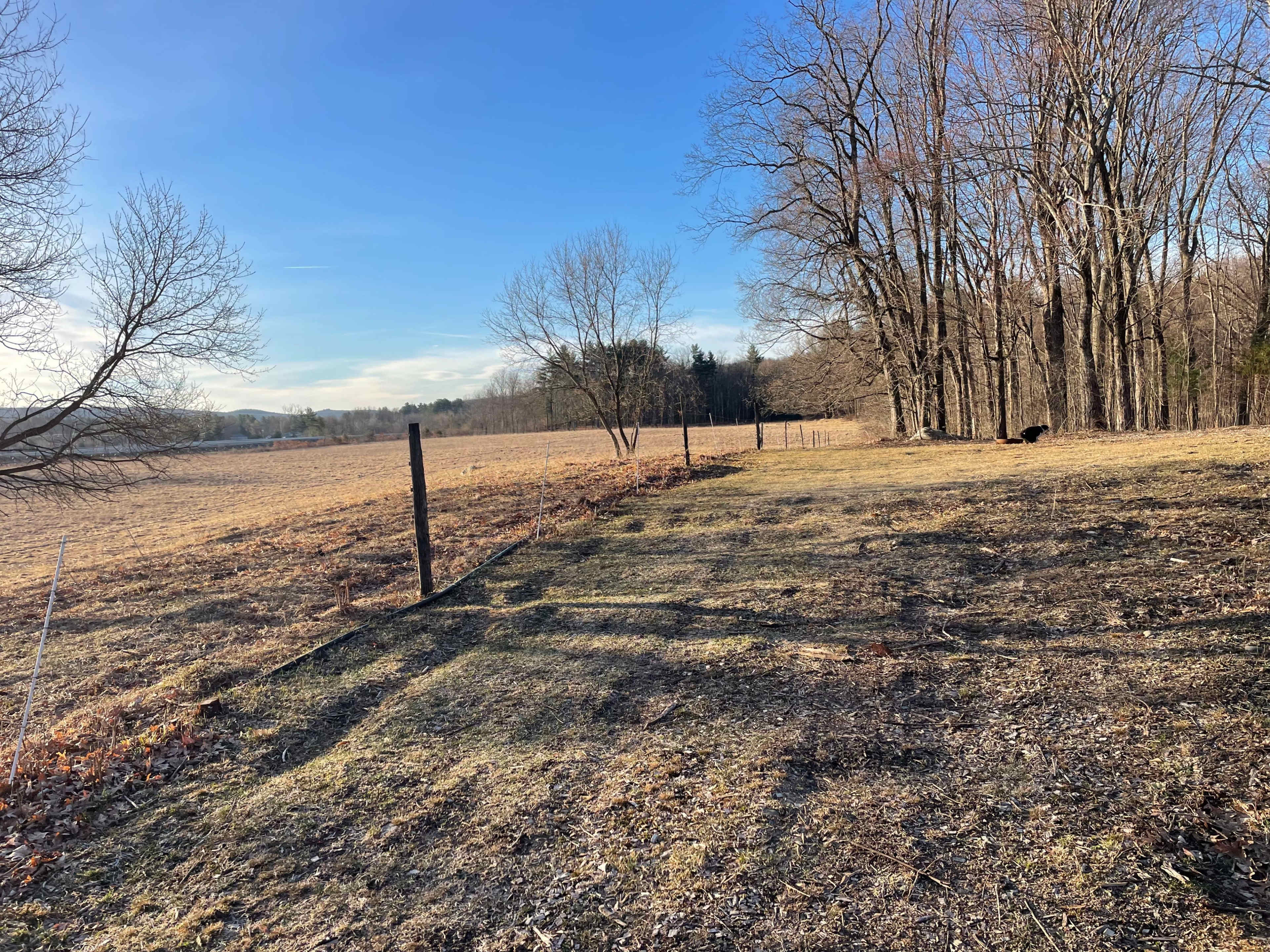 Active farm with pasture views in the Berkshire hills Image in Great Barrington, HOUSATONIC, MA
