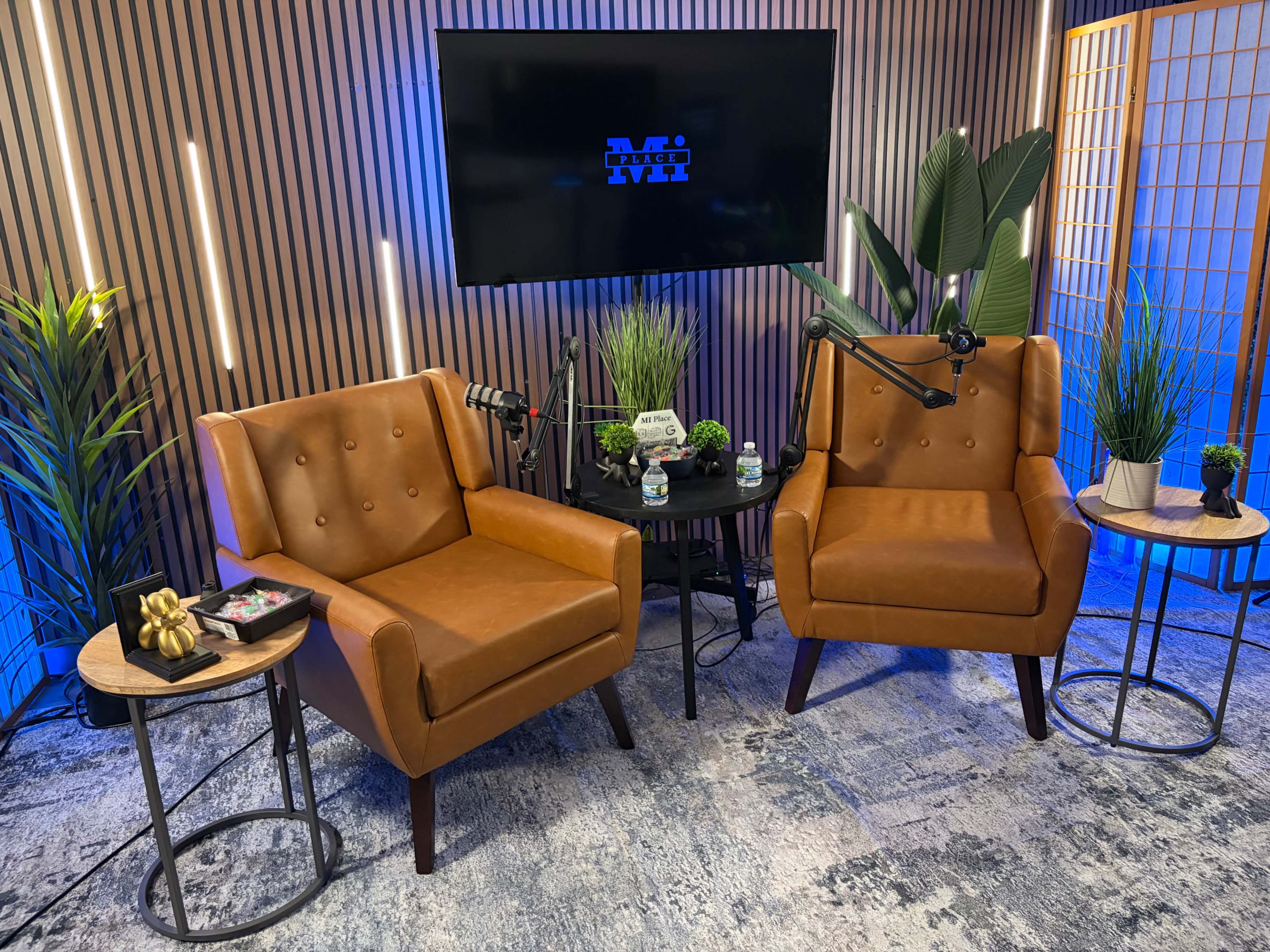 The image shows a modern studio setup featuring two brown upholstered chairs, a large screen displaying a logo, and green plants in a well-lit space.