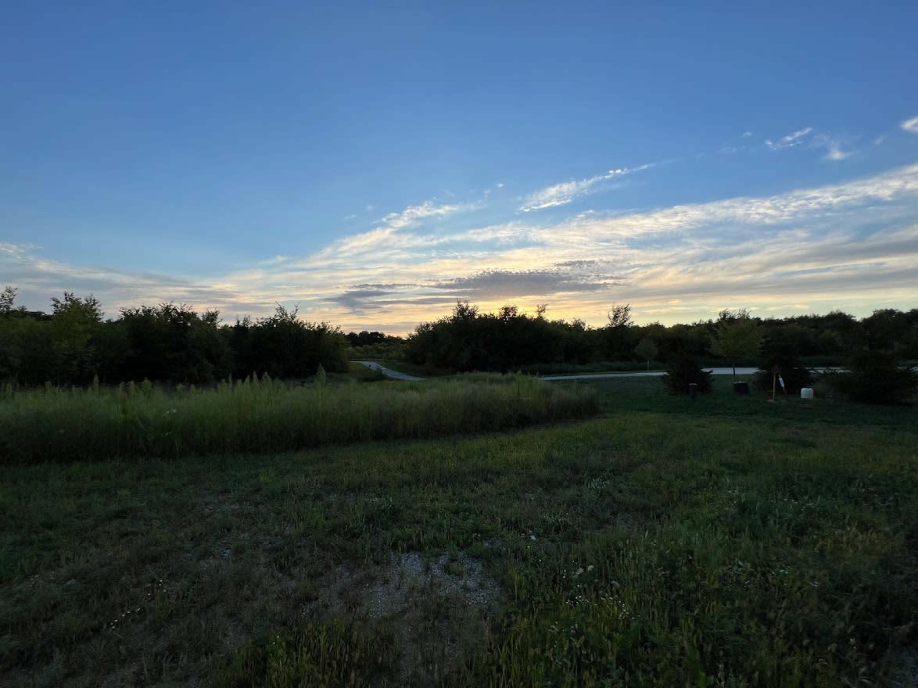A landscape with a grassy foreground, trees in the midground, and a colorful sunset sky.