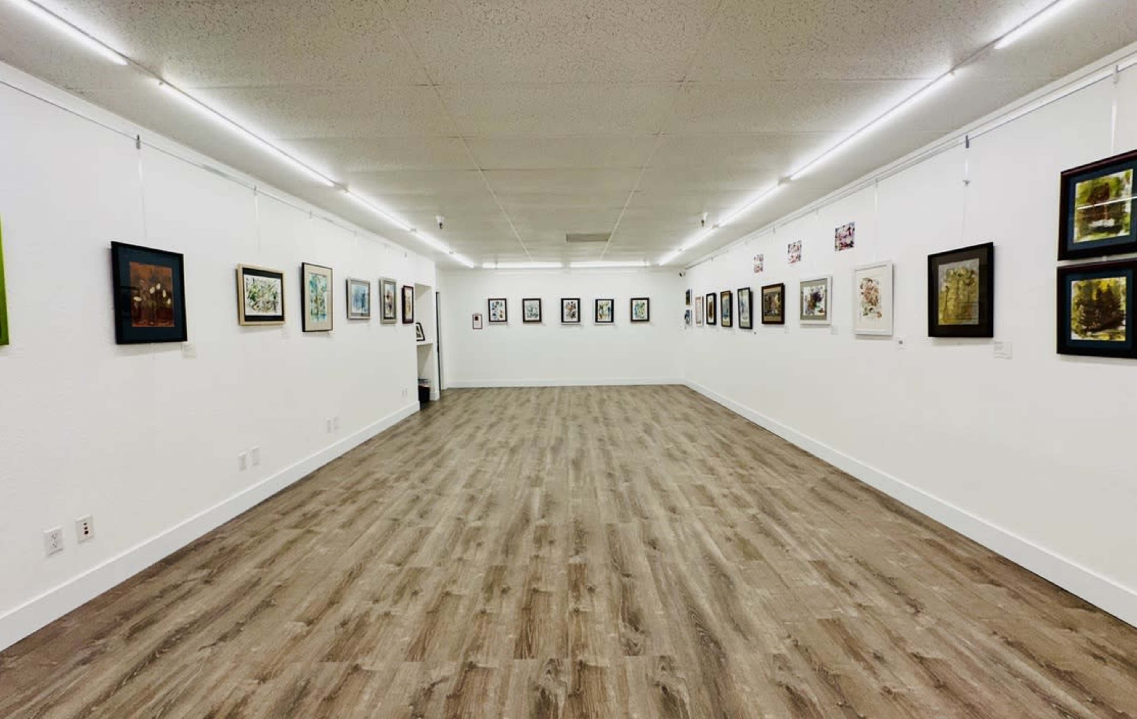 An art gallery with framed artworks displayed on white walls, illuminated by overhead lighting.