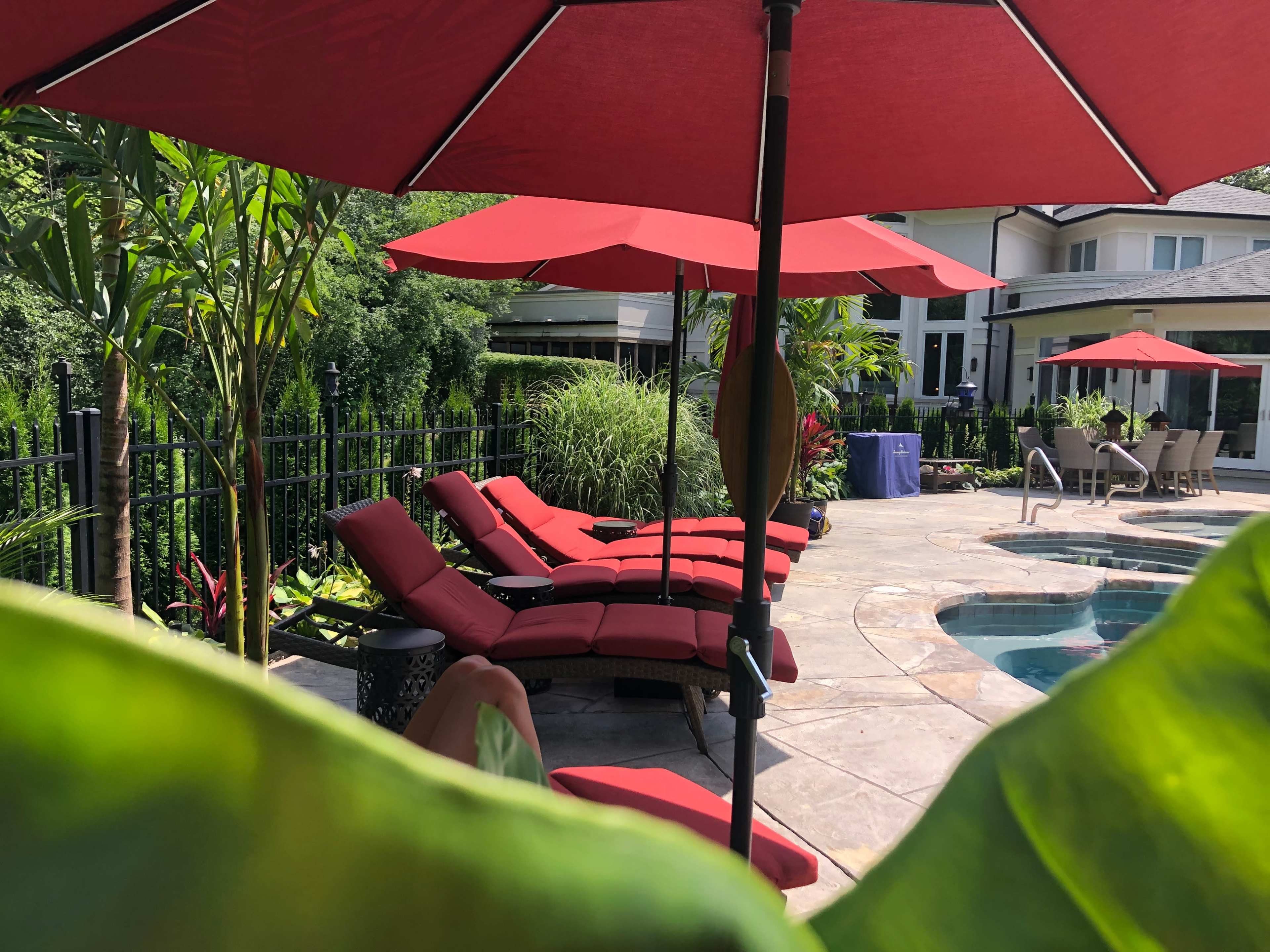 A set of red lounge chairs under matching umbrellas is arranged around a swimming pool in a landscaped backyard.