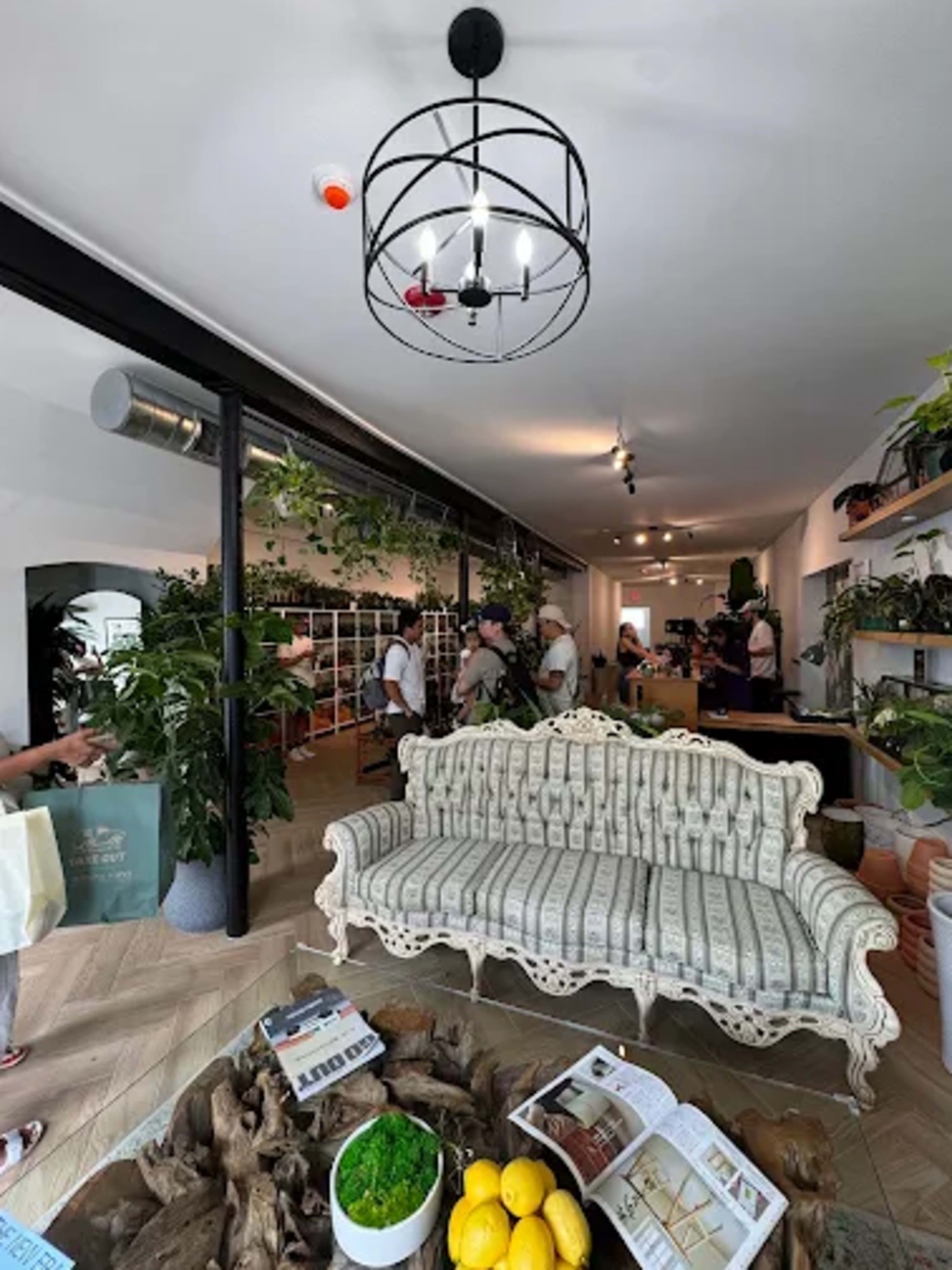 Downtown Green Space Image in Westfield, Westfield, NJ