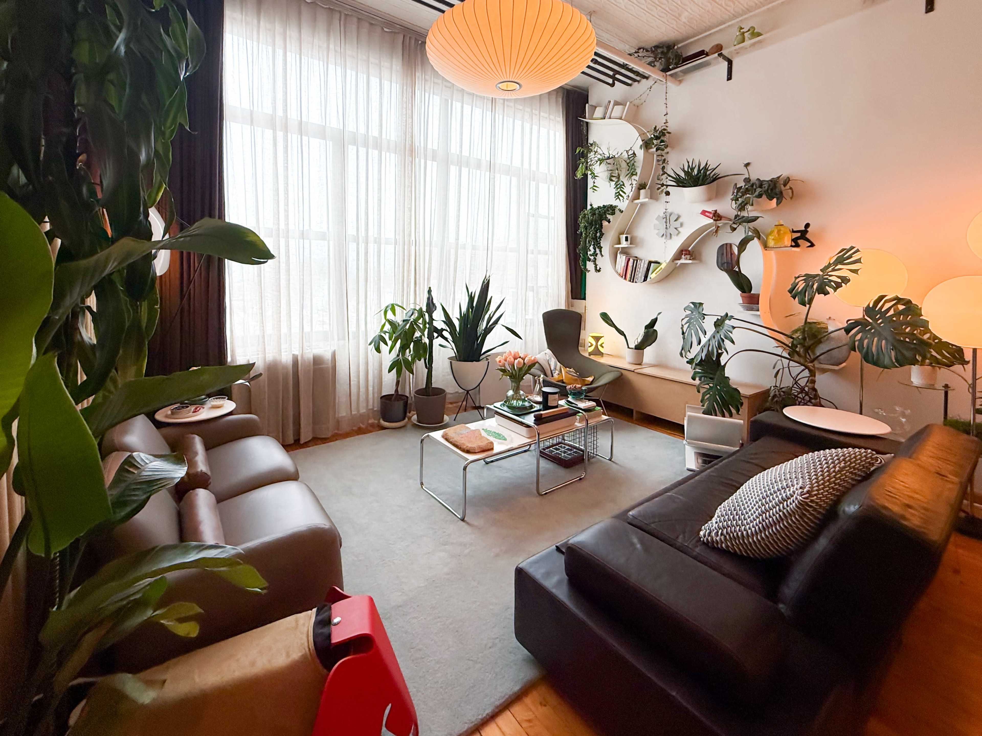 The image shows a cozy living room with large windows, plants, and modern furniture arranged around a central rug.