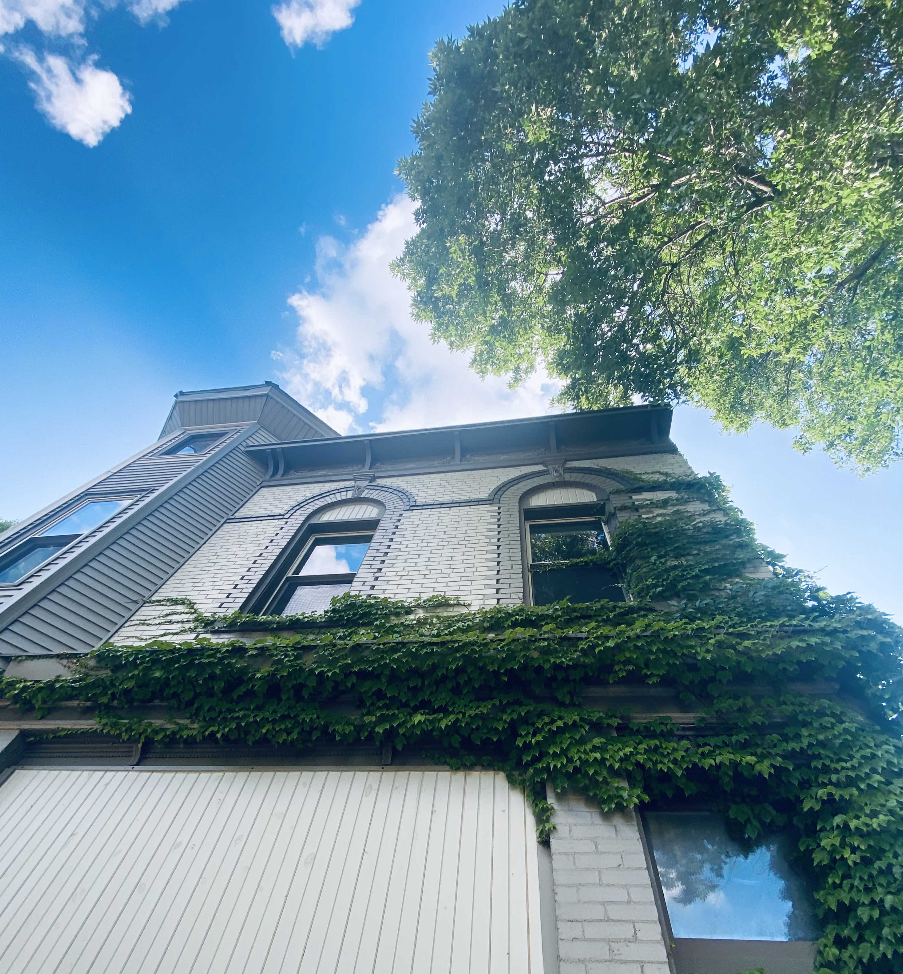 A brick house with ivy climbing its walls, set against a clear blue sky and partially covered by leafy trees.