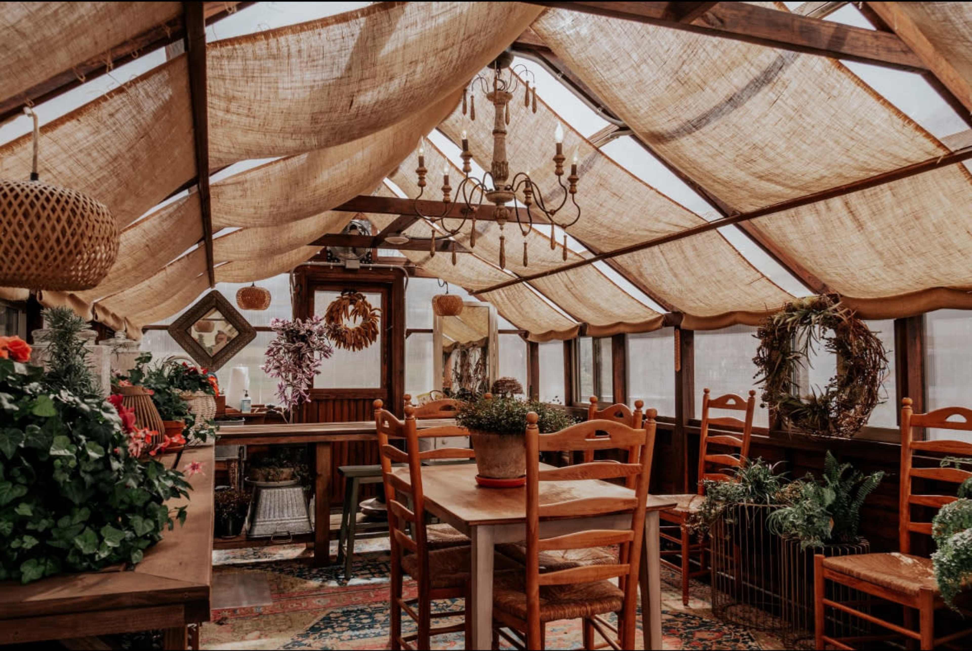 The image shows a rustic greenhouse interior furnished with wooden tables and chairs, adorned with plants and decorative elements under a canopy of draped fabric.