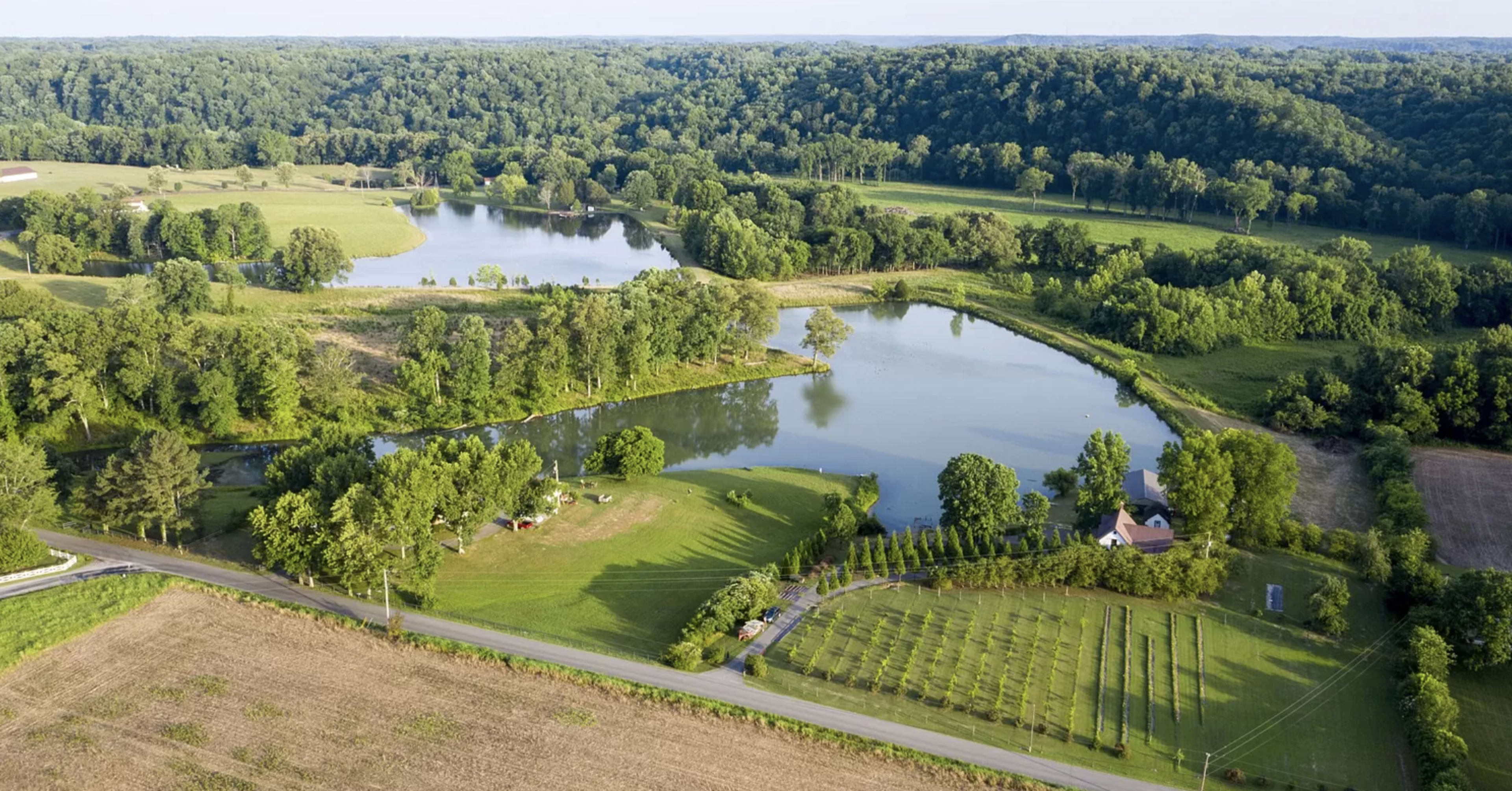 A rural landscape featuring a winding river surrounded by lush greenery and fields, with a small house and organized rows of trees nearby.