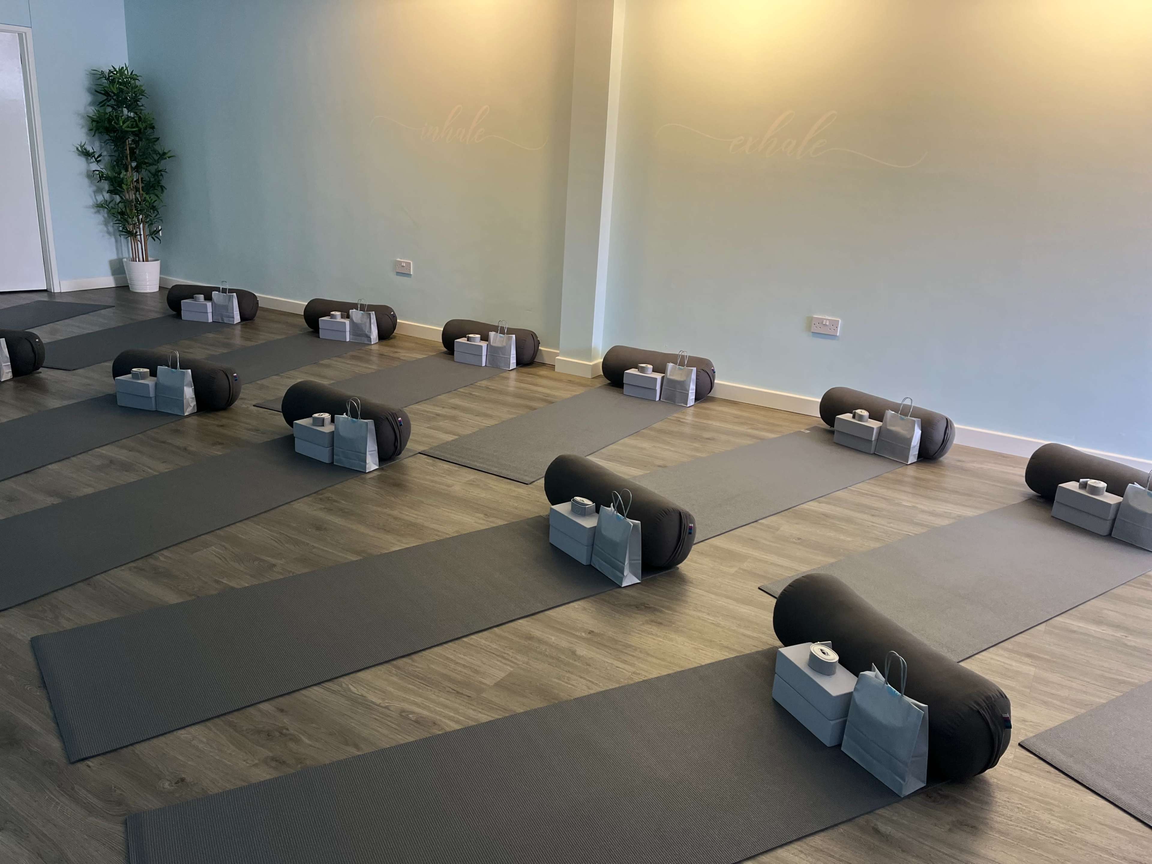 A neatly arranged yoga studio with several exercise mats laid out in rows, each accompanied by a bolster and a water bottle.