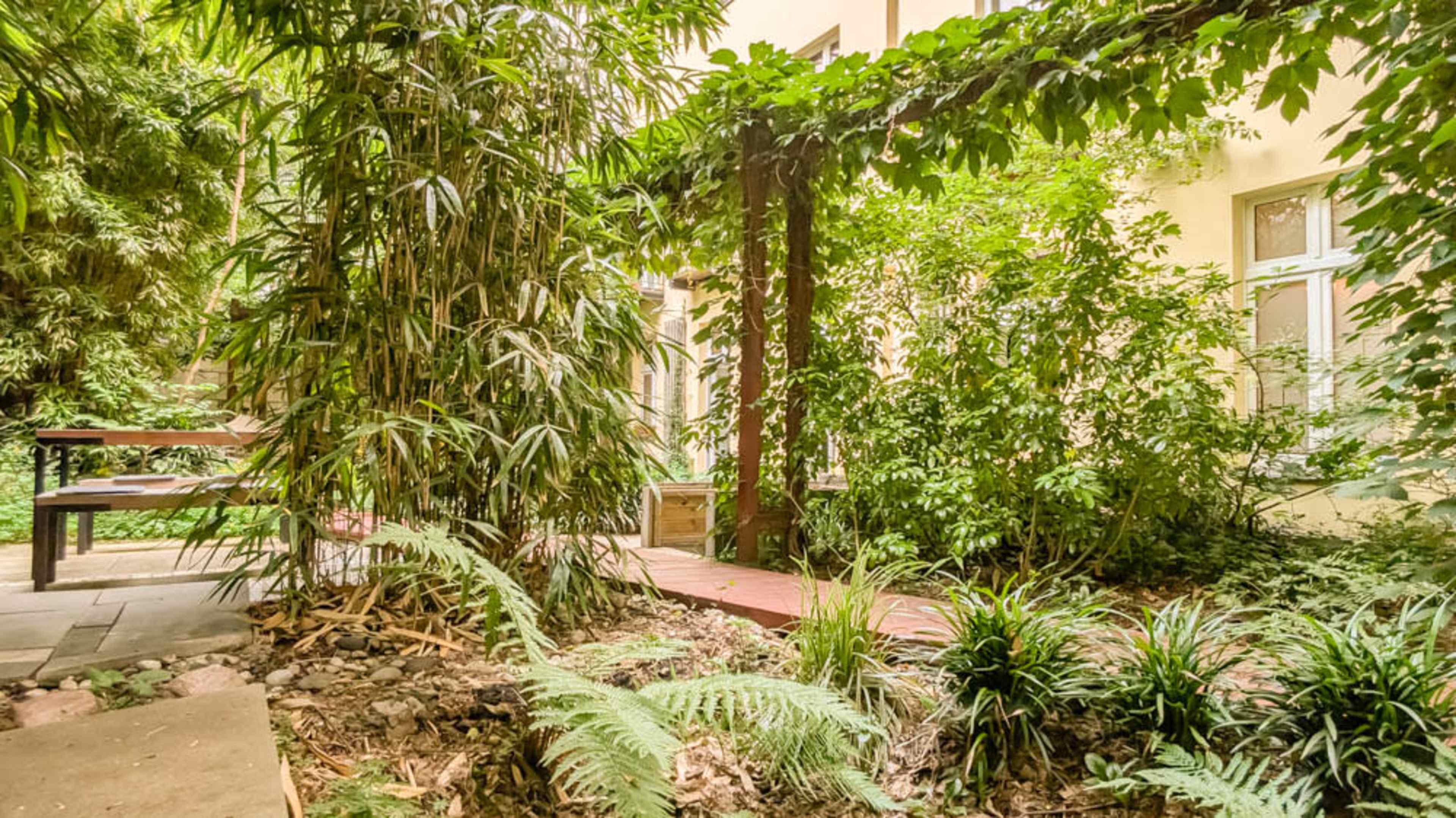 The image shows a lush garden area with various plants and a wooden pathway leading through greenery.
