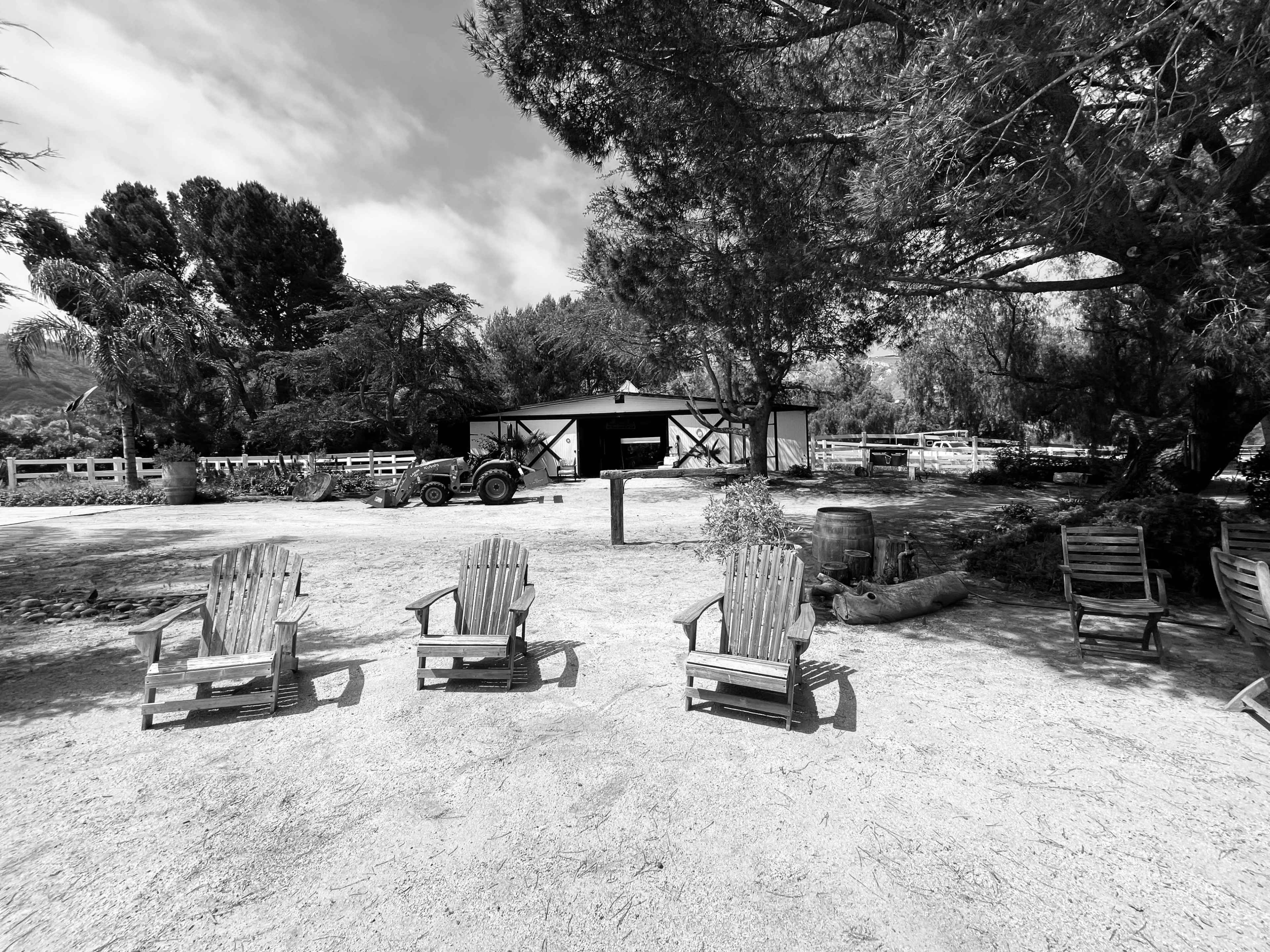 Several wooden chairs arranged in a row facing a barn and outdoor area surrounded by trees.