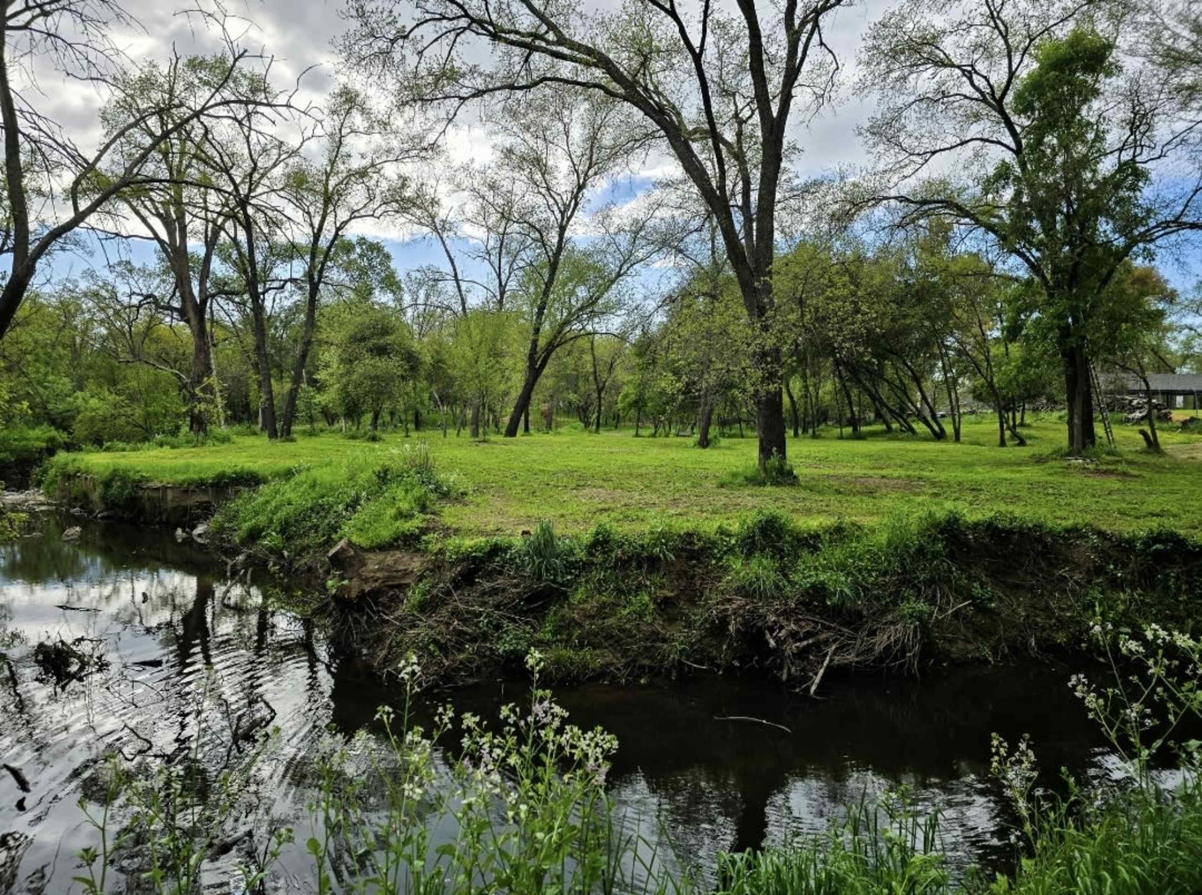 Private Forest in the middle of the city! Image in Citrus Heights, Citrus Heights, CA