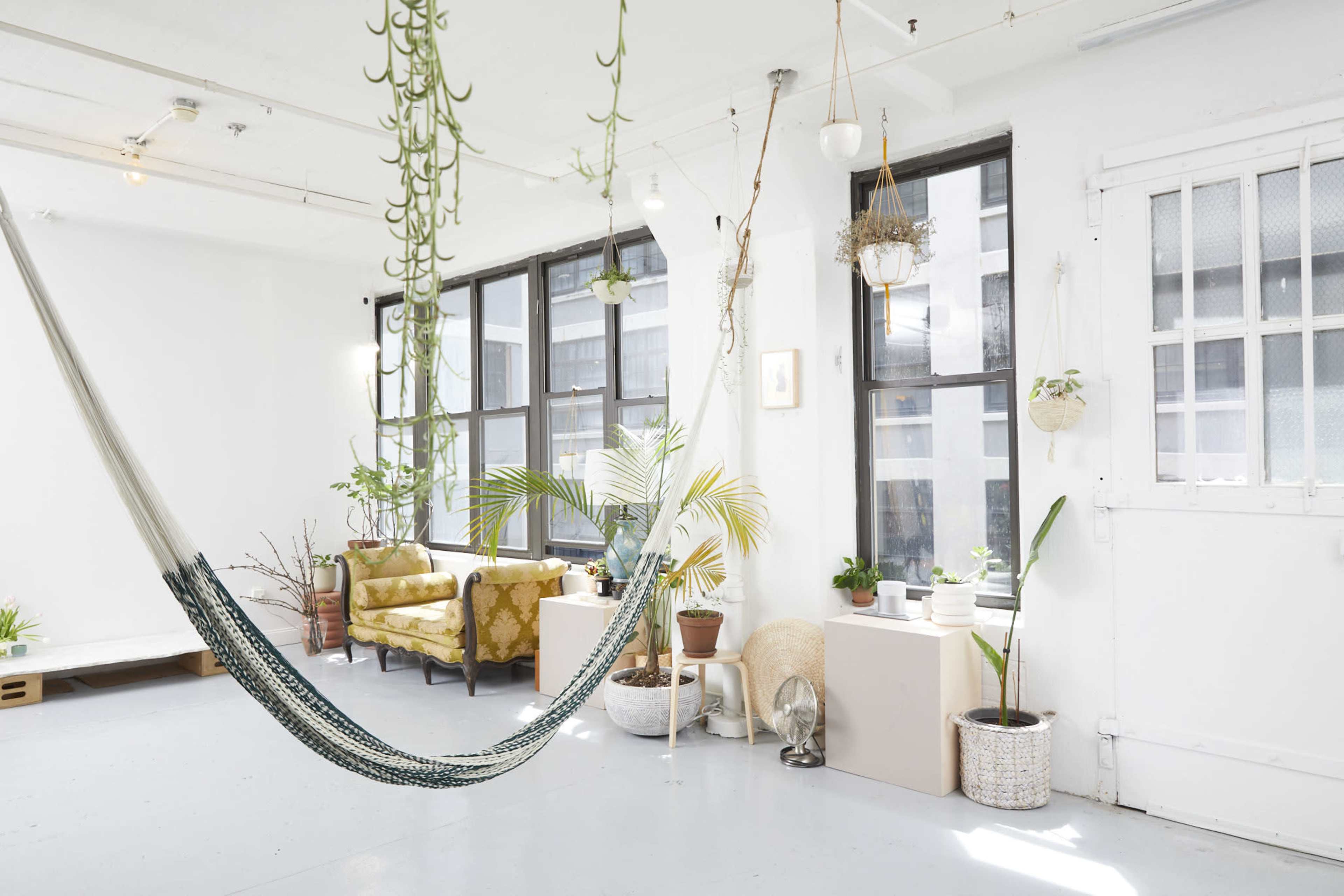 A bright and airy room with large windows, a hammock hanging in the foreground, and various plants arranged throughout the space.