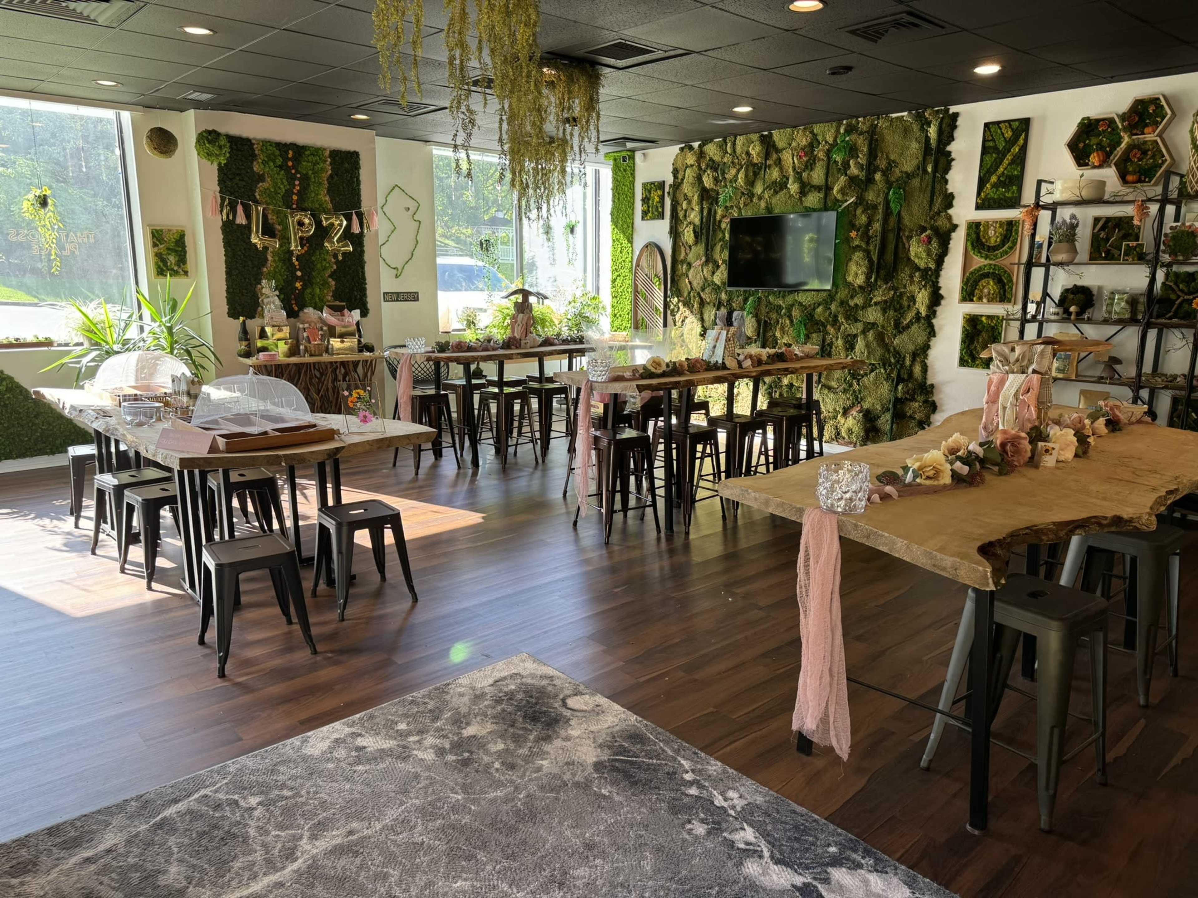 Mossy Nature Inspired Studio Image in Totowa, Totowa, NJ