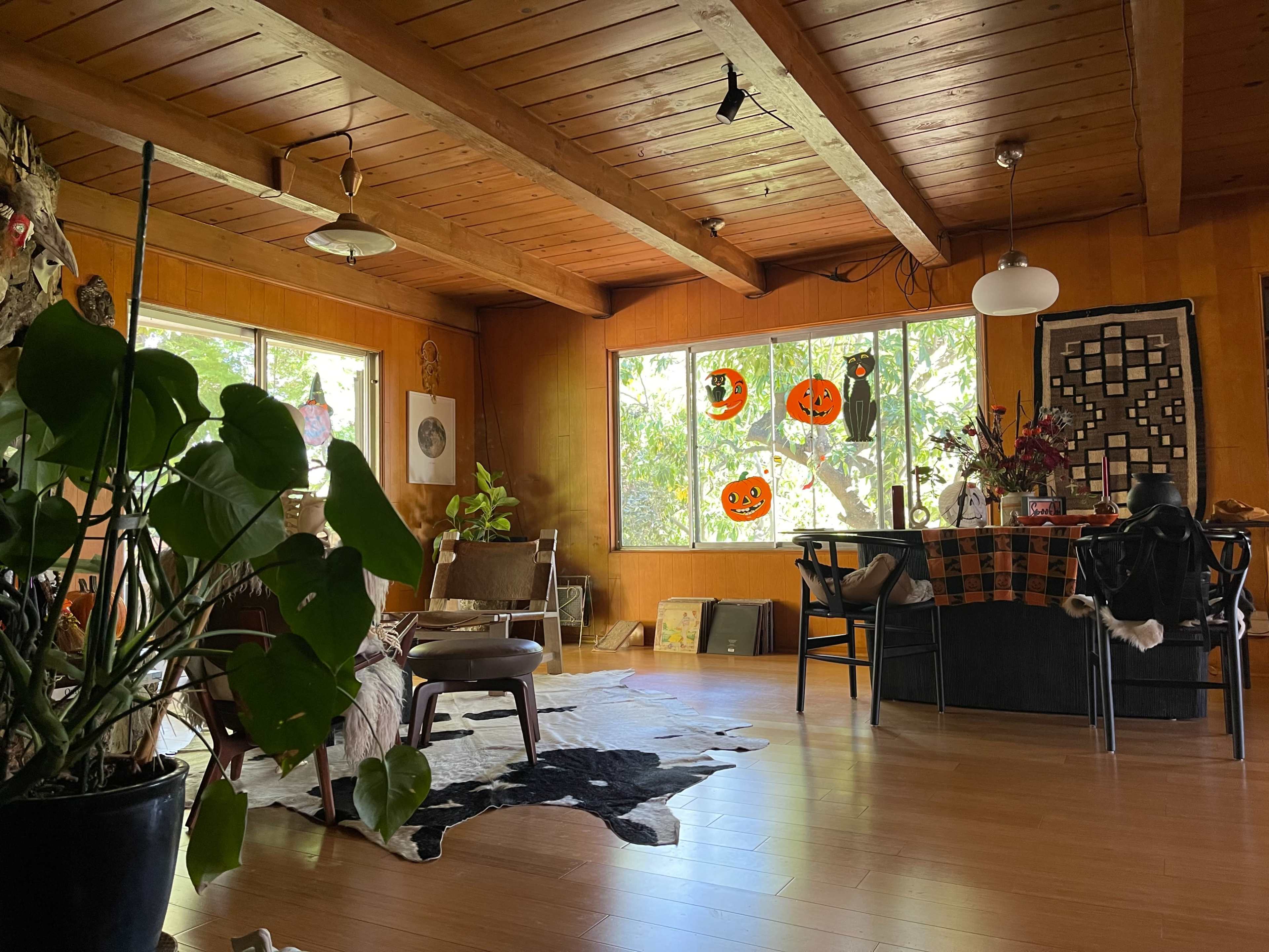 A cozy room with wooden walls and ceiling, featuring a seating area with plants, a dining table decorated for Halloween, and large windows letting in natural light.