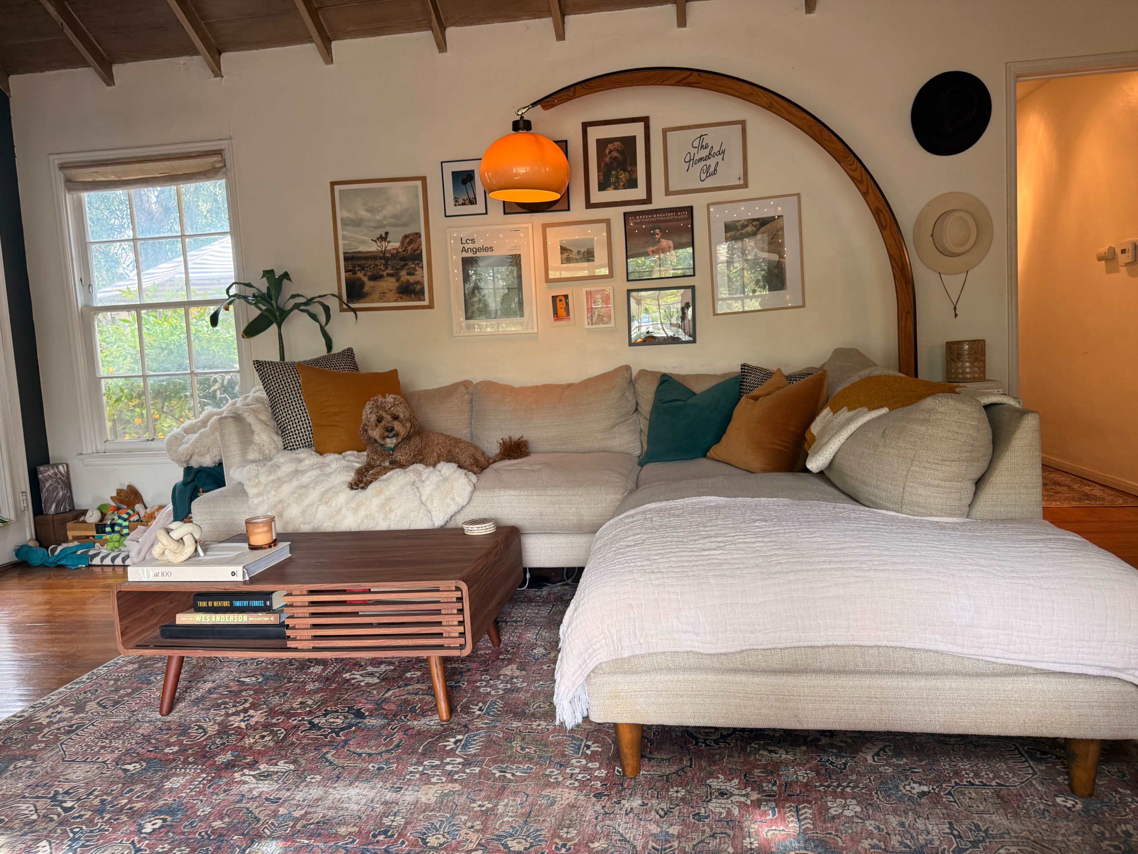 A living room features a sectional couch adorned with cushions, a coffee table, and an assortment of framed pictures on the wall, while a dog reclines on the couch.
