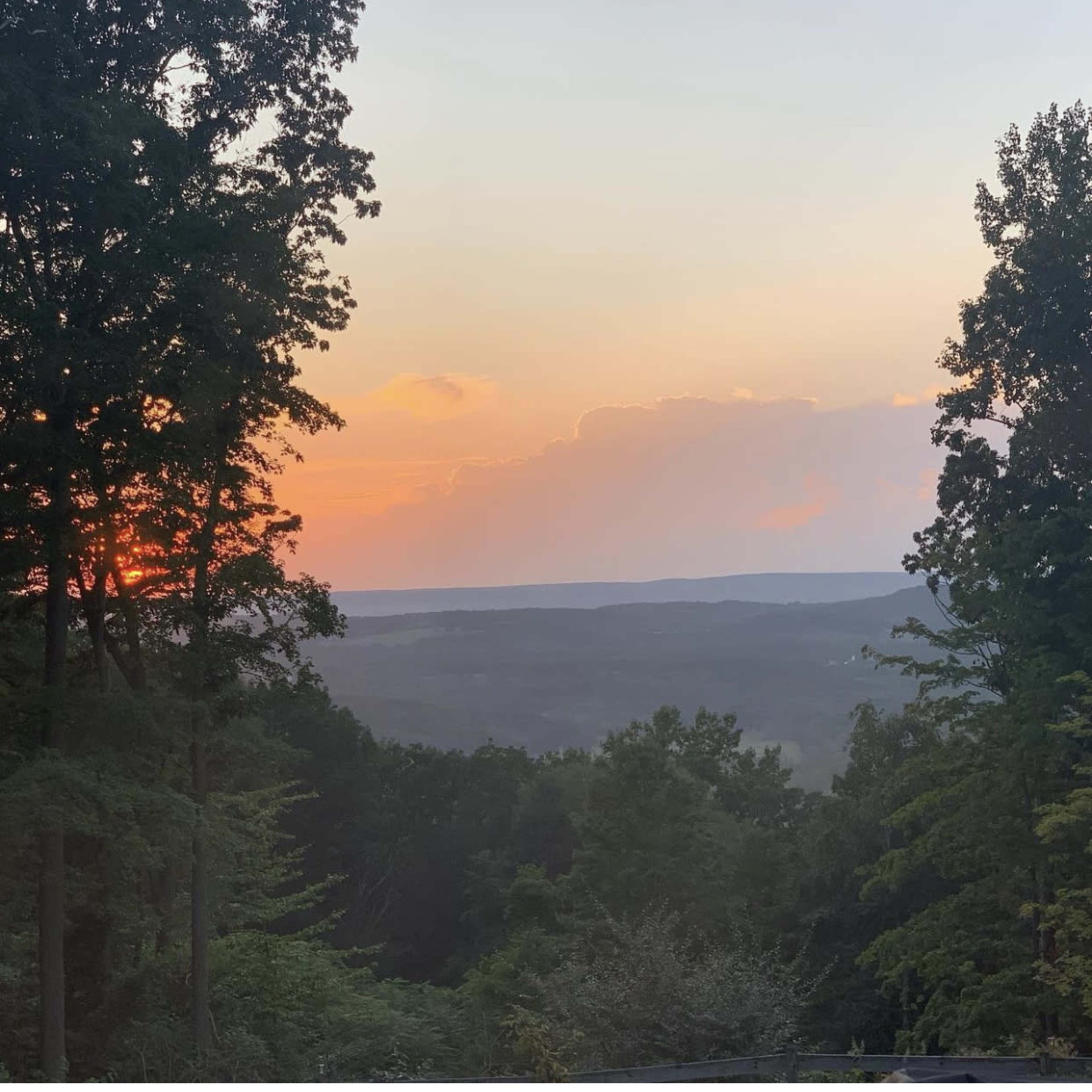 A sunset over a hilly landscape framed by trees.
