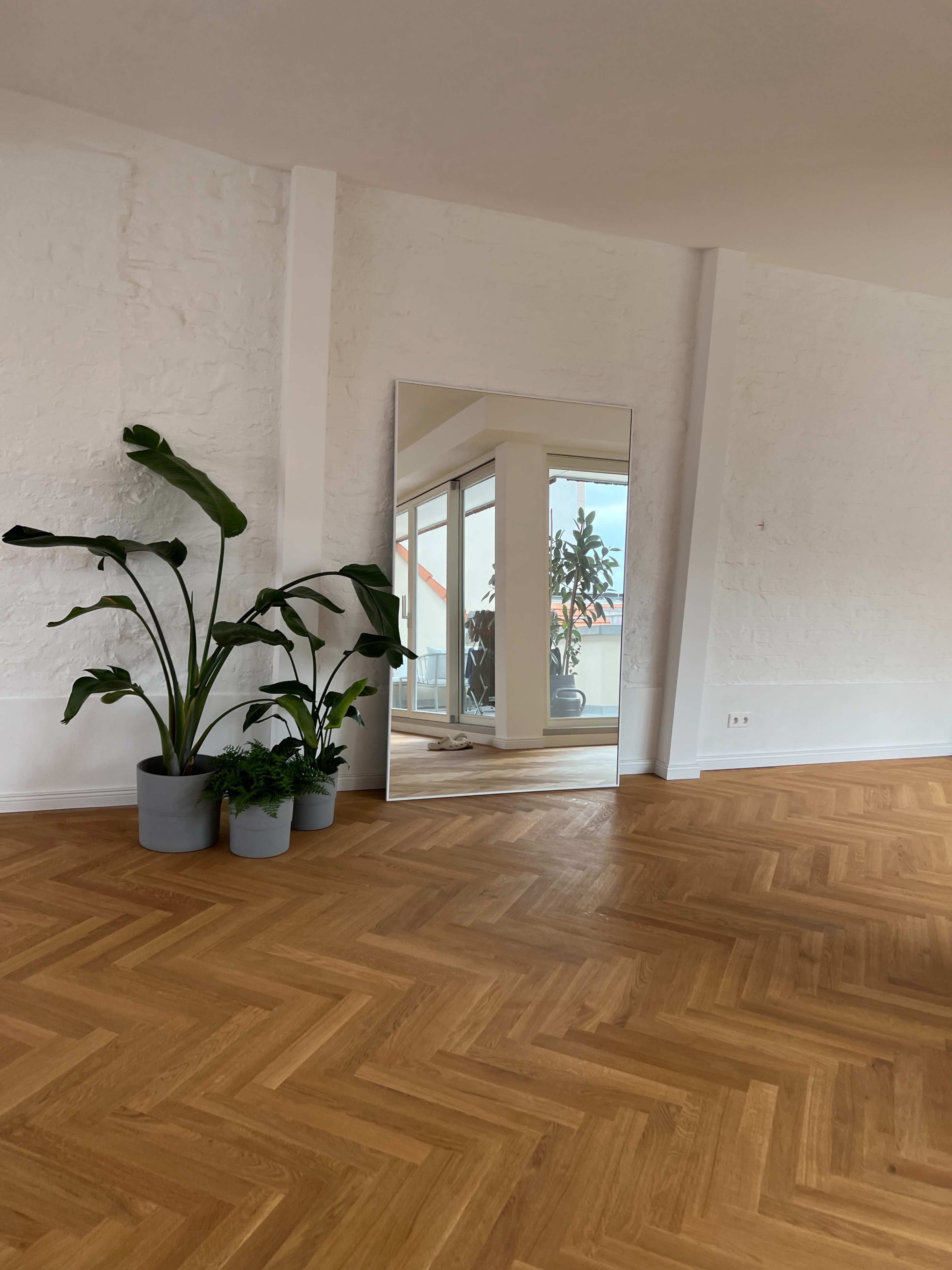 A large mirror is positioned against a white wall, reflecting a bright room with potted plants and wooden flooring.