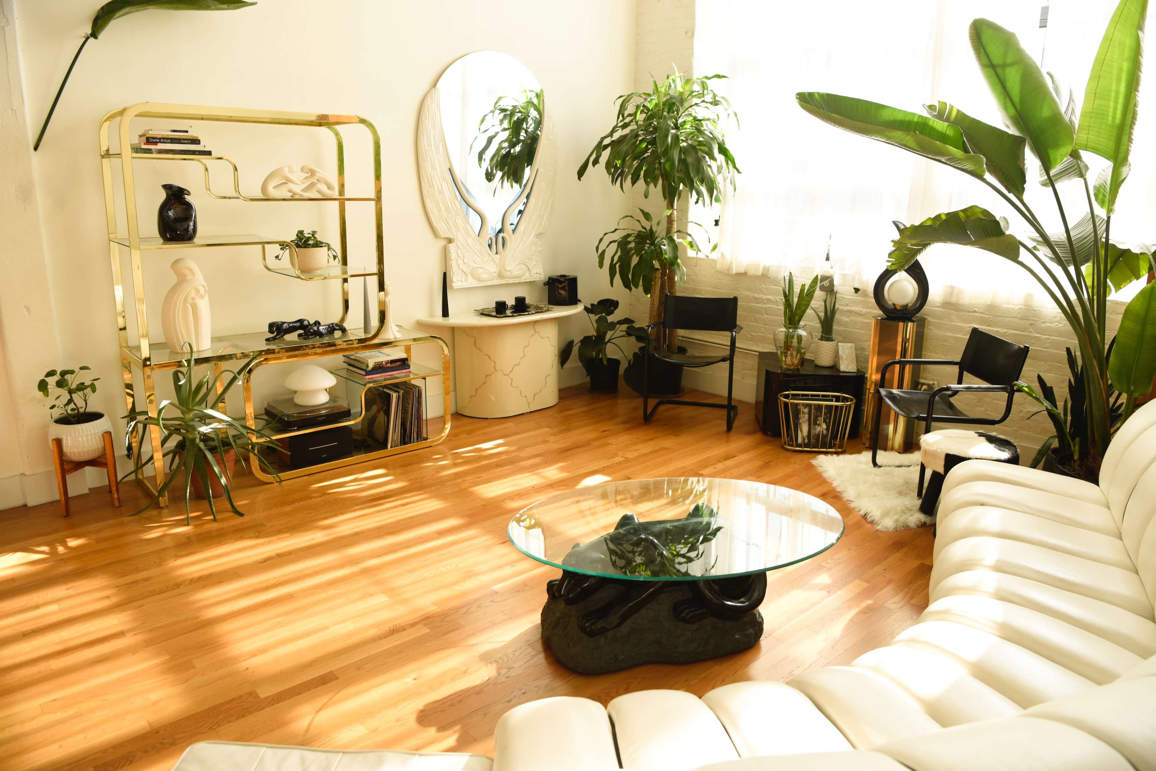 A well-lit room featuring a white sectional sofa, a glass coffee table, various plants, and stylish decor elements on shelves and walls.