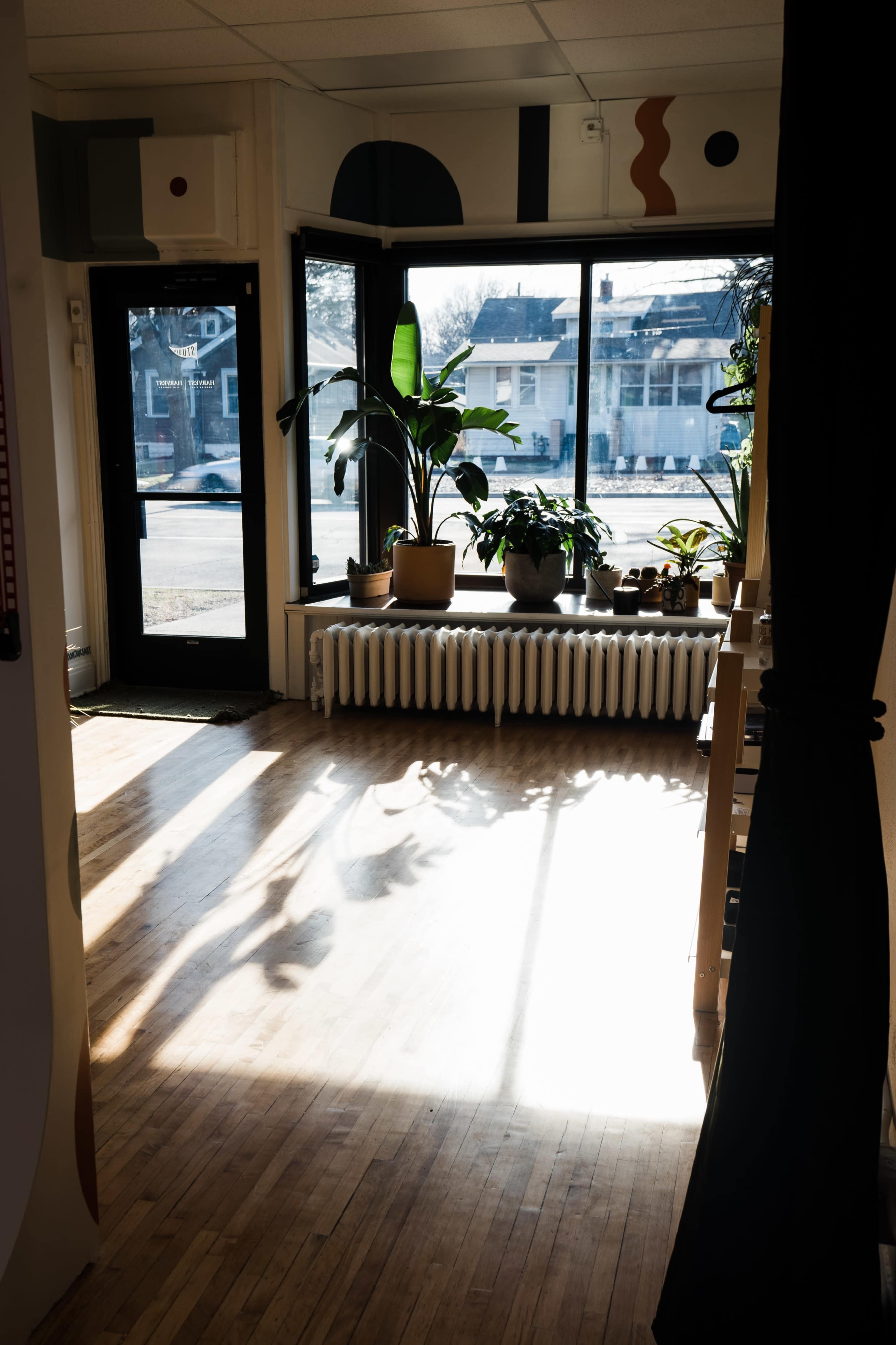 The scene shows a bright interior space with large windows, radiators, and various potted plants along the windowsill.