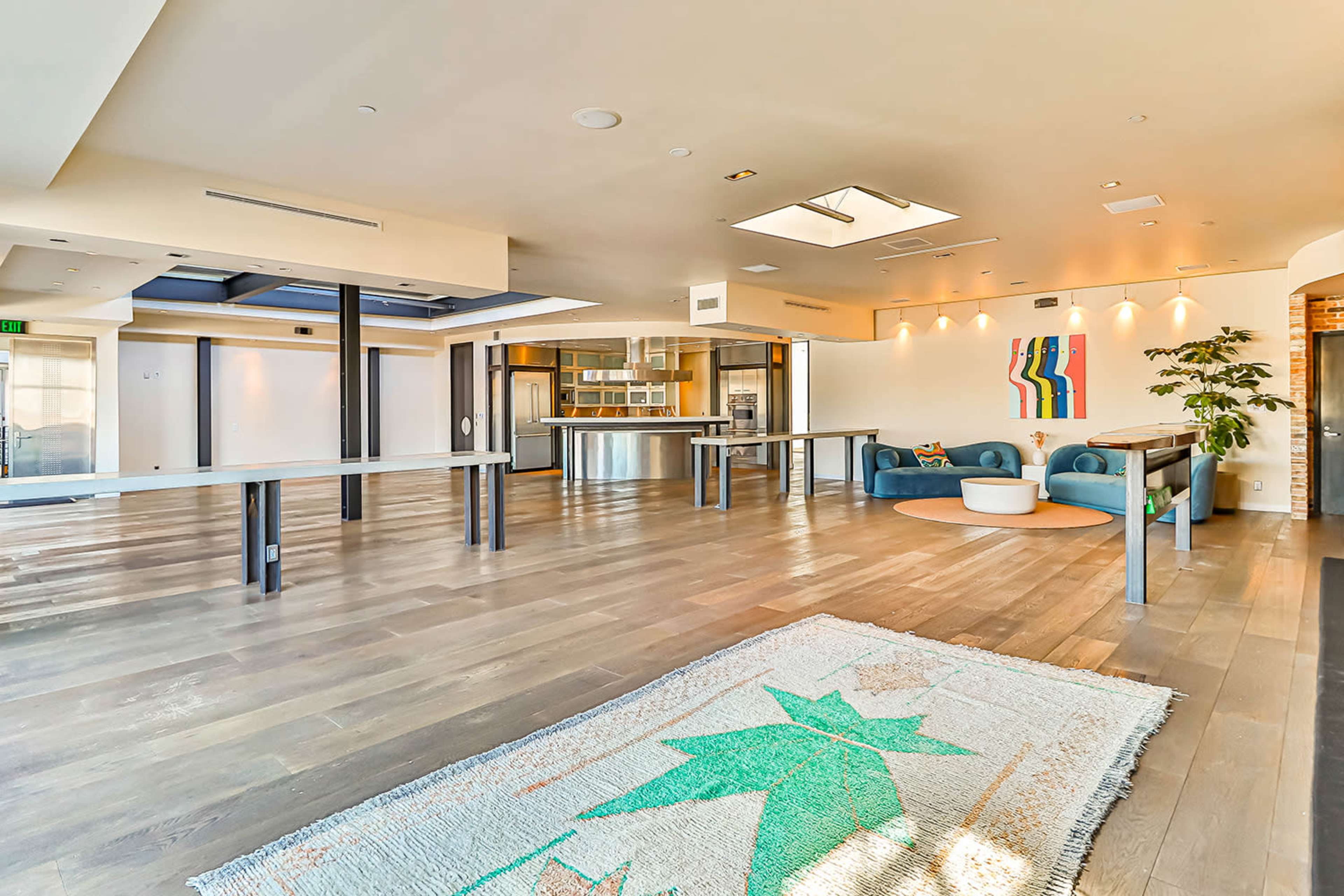 A spacious interior room with modern furniture, a large kitchen area, and a decorative rug on the floor.