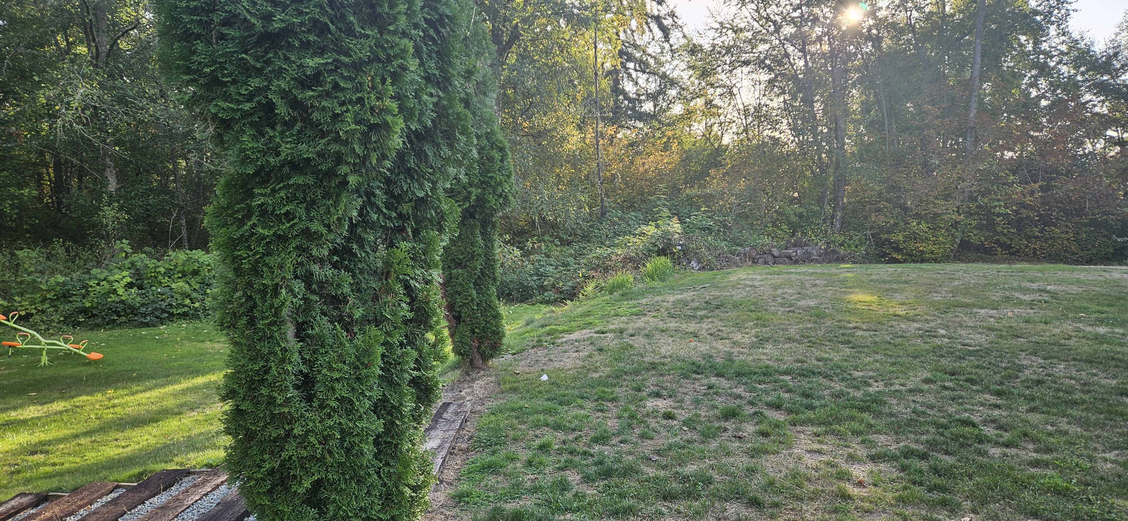 Country house set for get togethers woods surrounding the house lots of room for your events jacobs Image in , MOUNT VERNON, WA