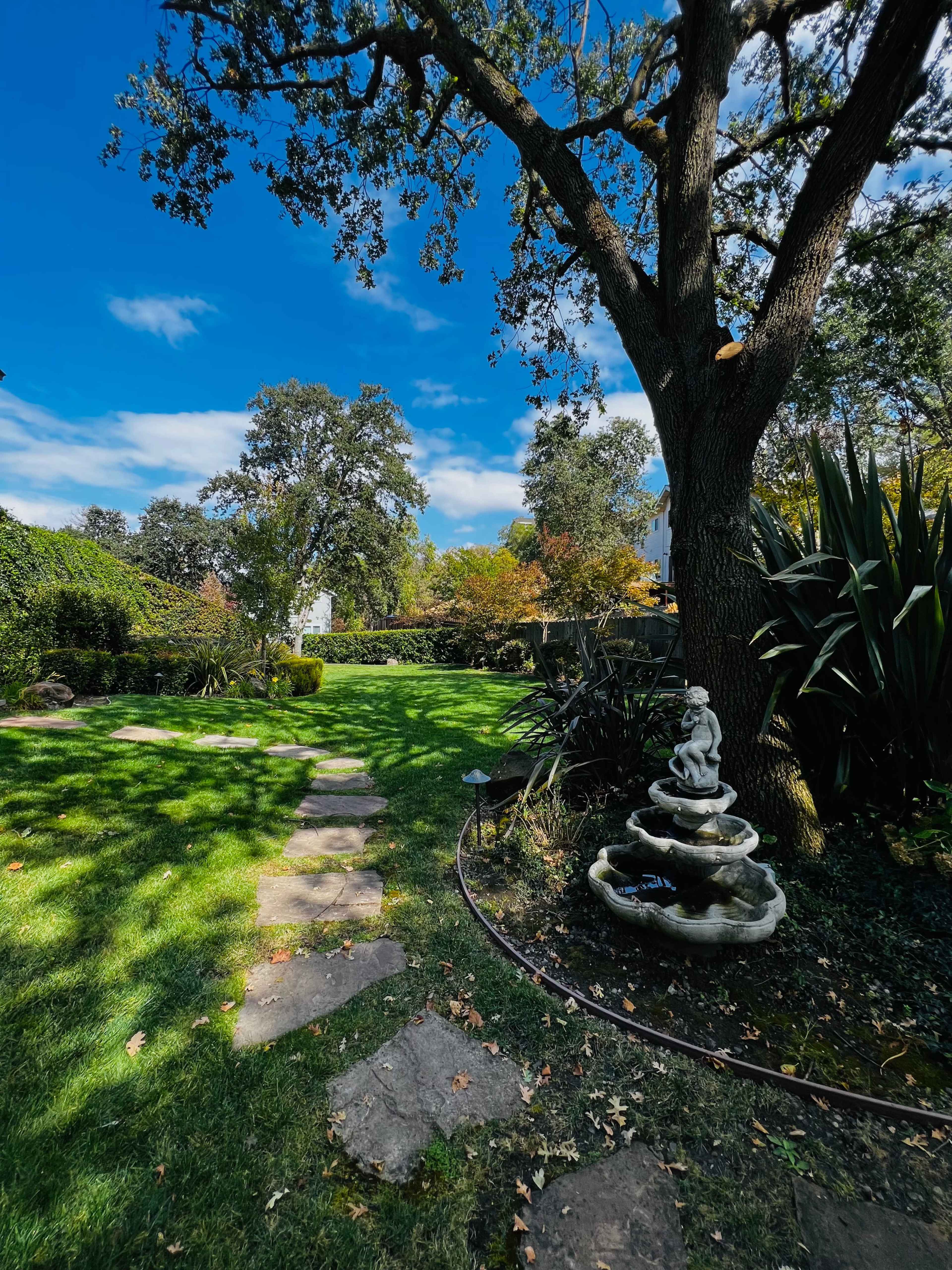 A stone path leads through a grassy garden area with a fountain and large trees under a blue sky.