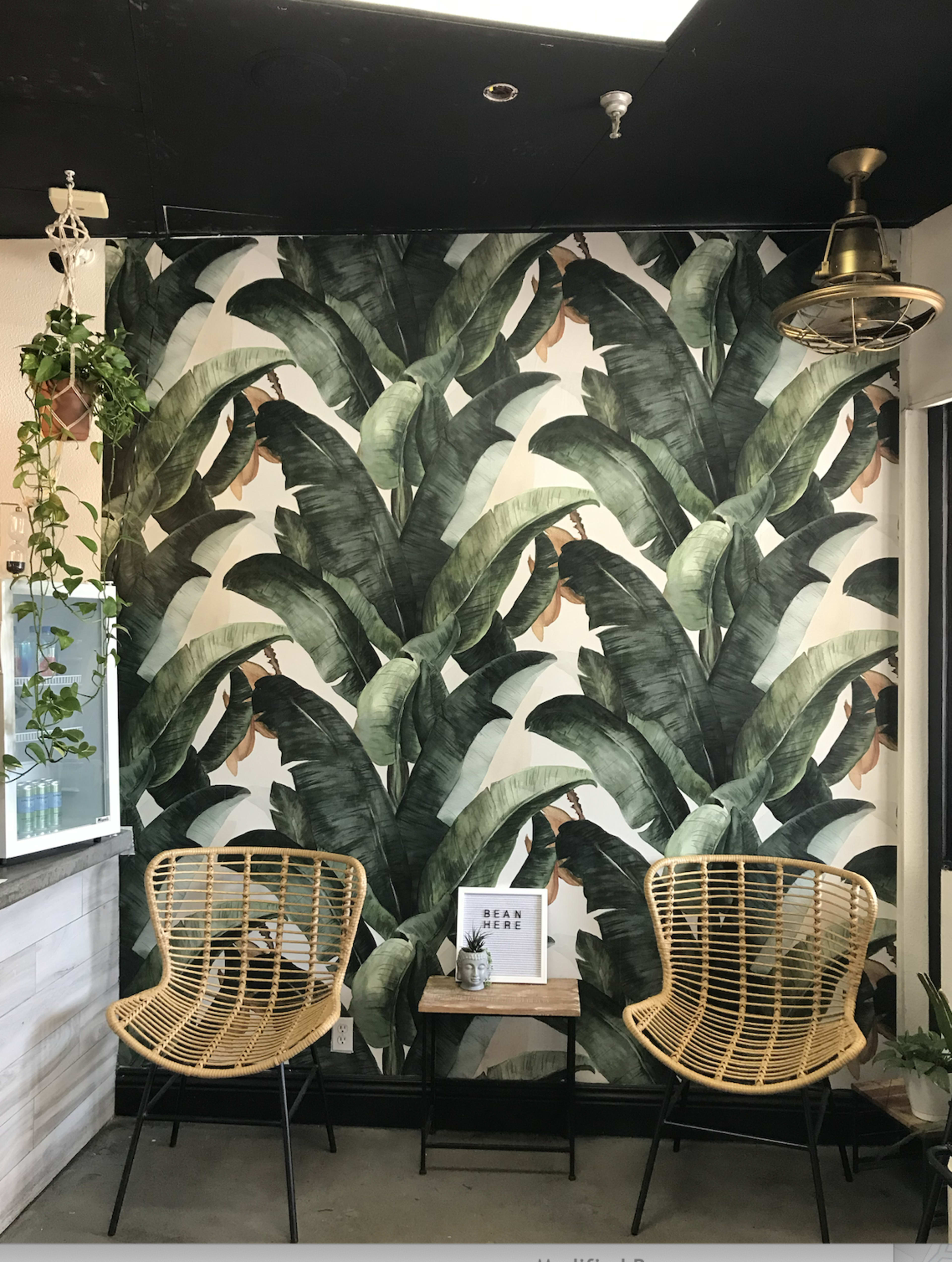 A cozy seating area with two rattan chairs facing a small wooden table, against a backdrop of large, green palm leaf wallpaper.