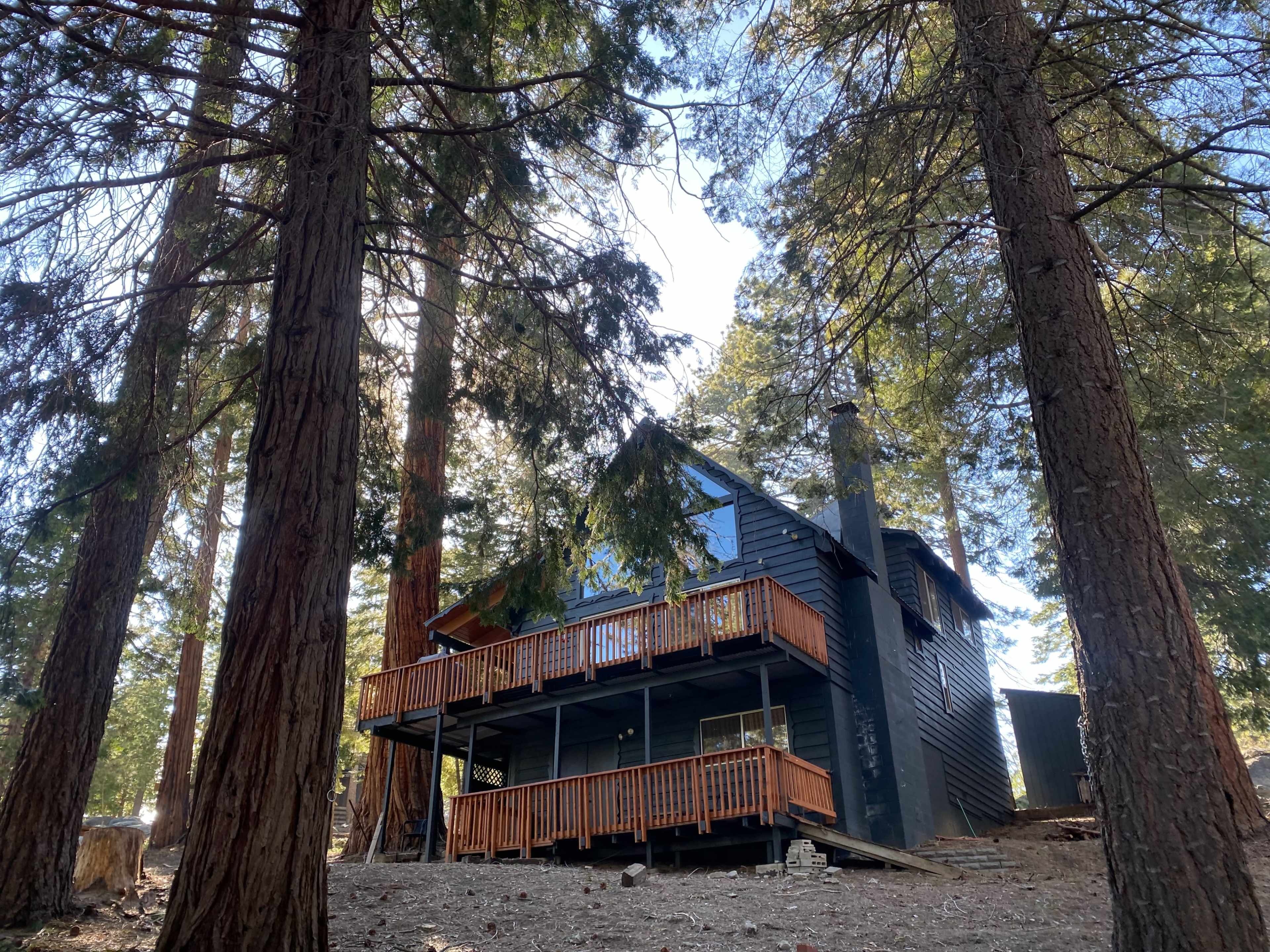 Cabin in the Forest Image in Ponderosa, Ponderosa, CA