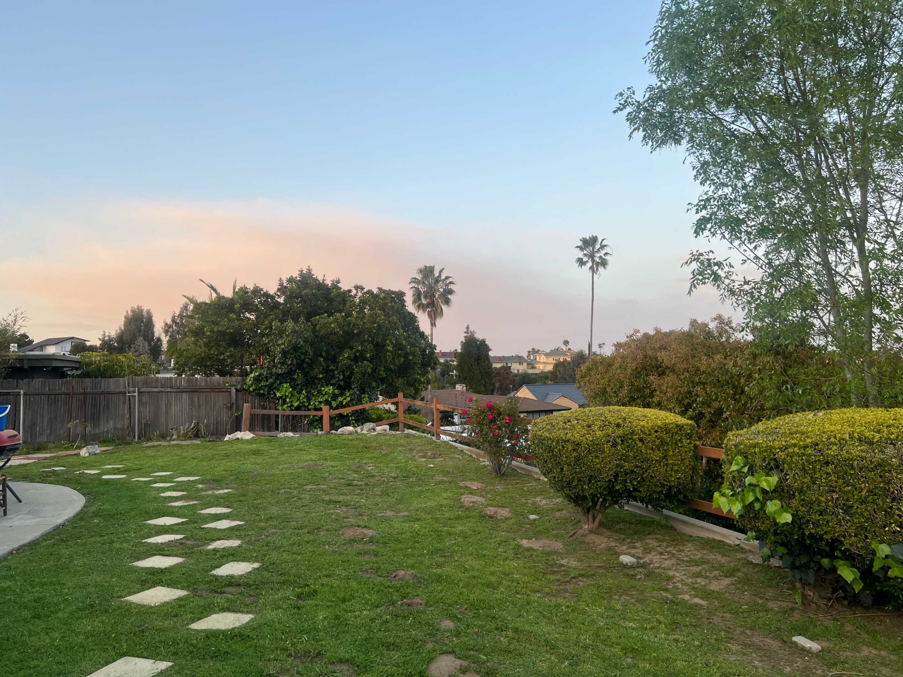 A grassy backyard with stone pathway leading towards plants and trees, under a pastel-colored sky.