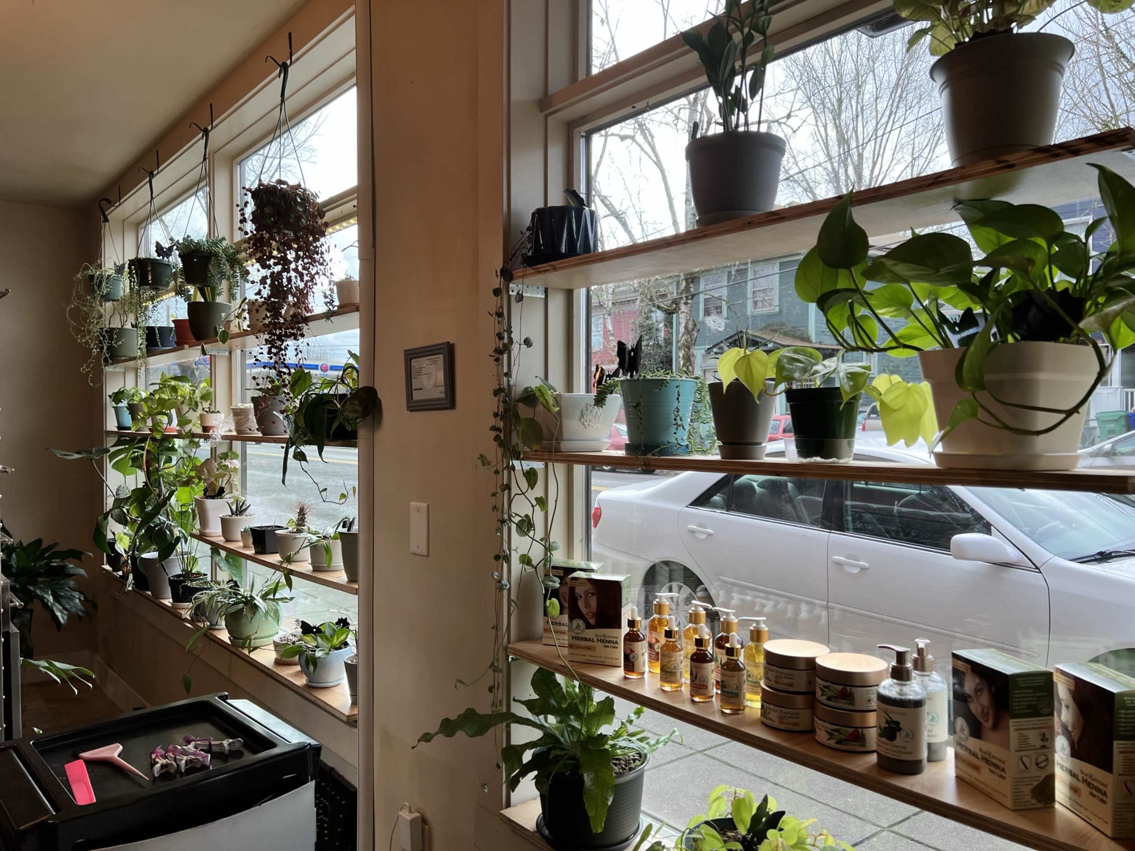 The image shows a bright interior with shelves filled with various potted plants and beauty products, along with large windows that allow natural light to enter.