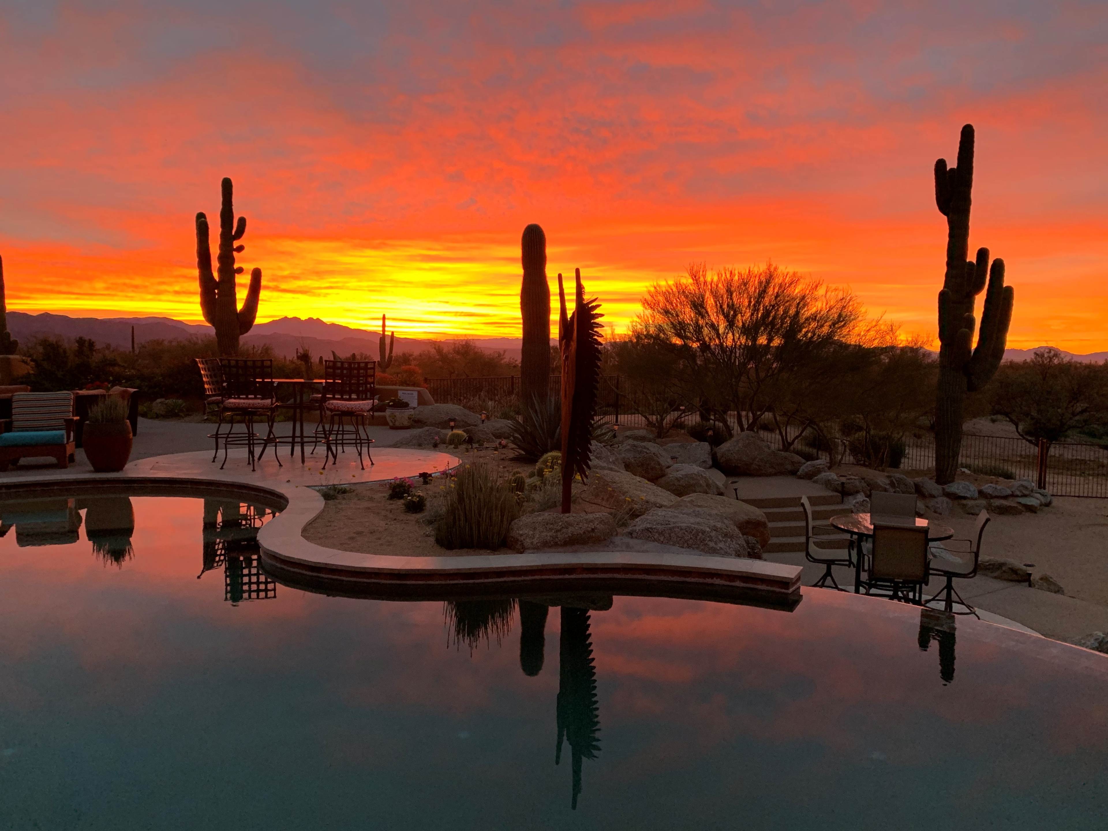 The scene features a reflecting pool surrounded by cacti and rocks, with a vibrant orange and pink sunset in the background.