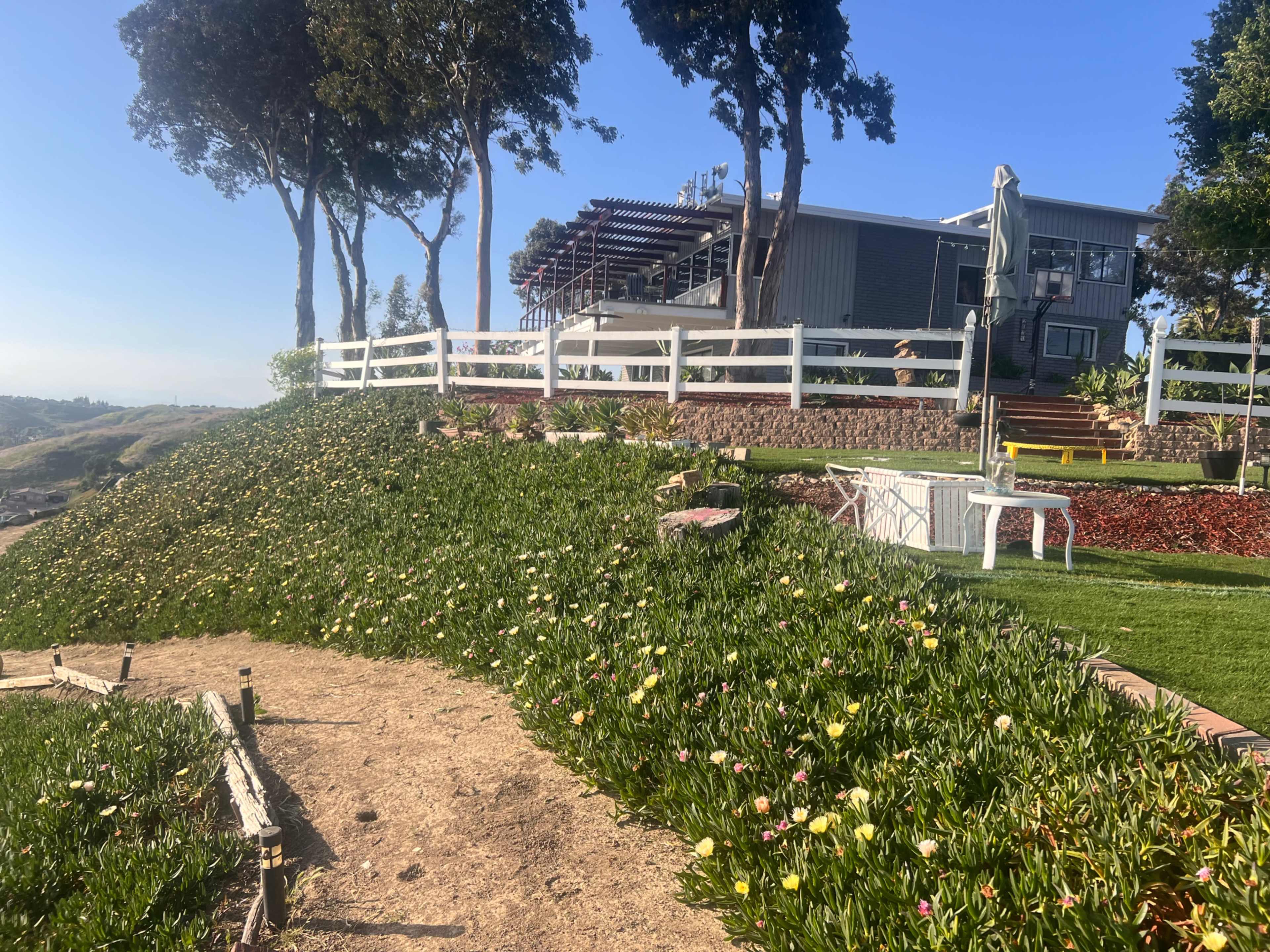 A hillside covered with blooming flowers leads up to a house with a deck overlooking the area.