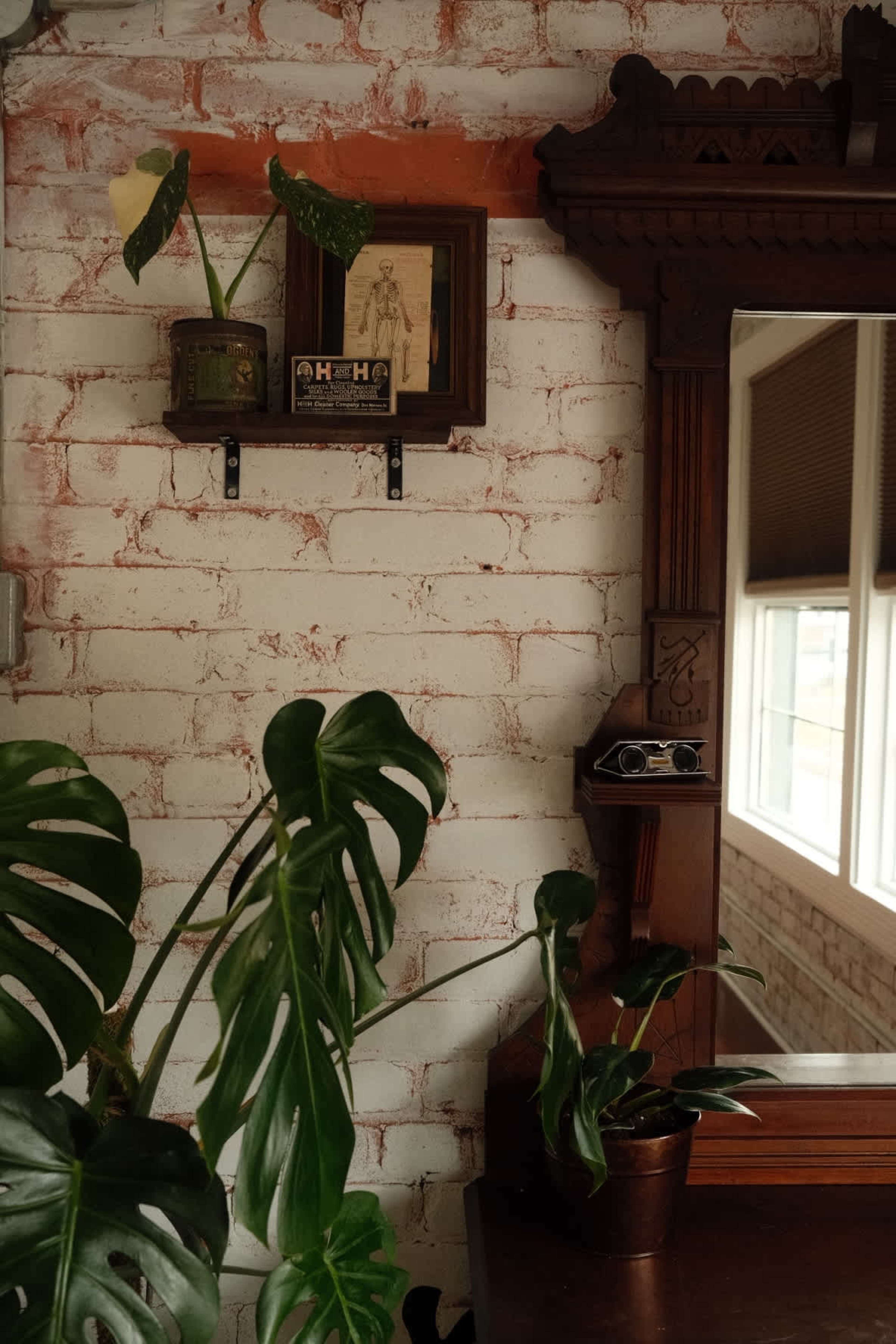 The image features a rustic wall with exposed brick, a wooden mirror, and several potted plants.