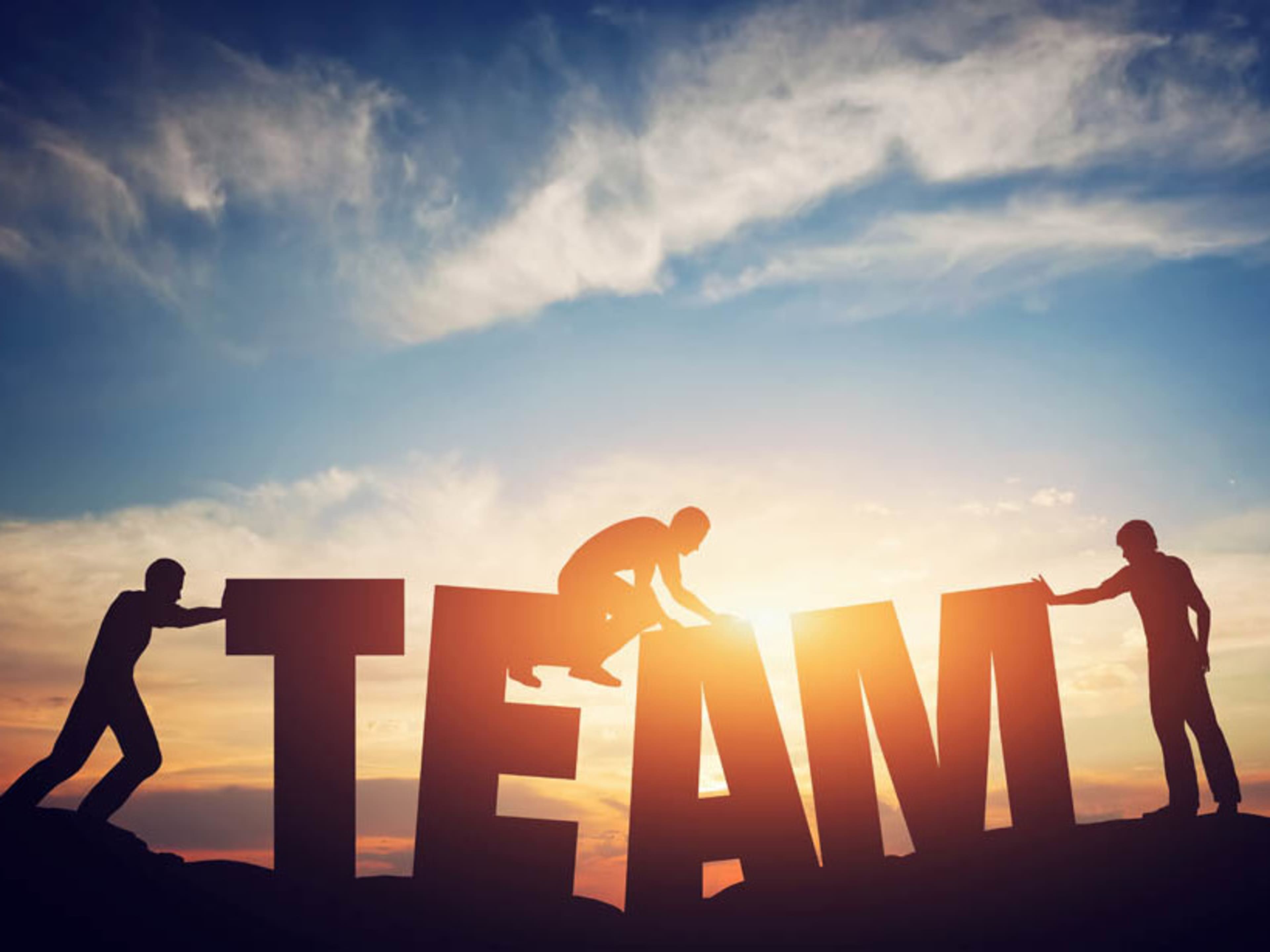 Team Builder Activity