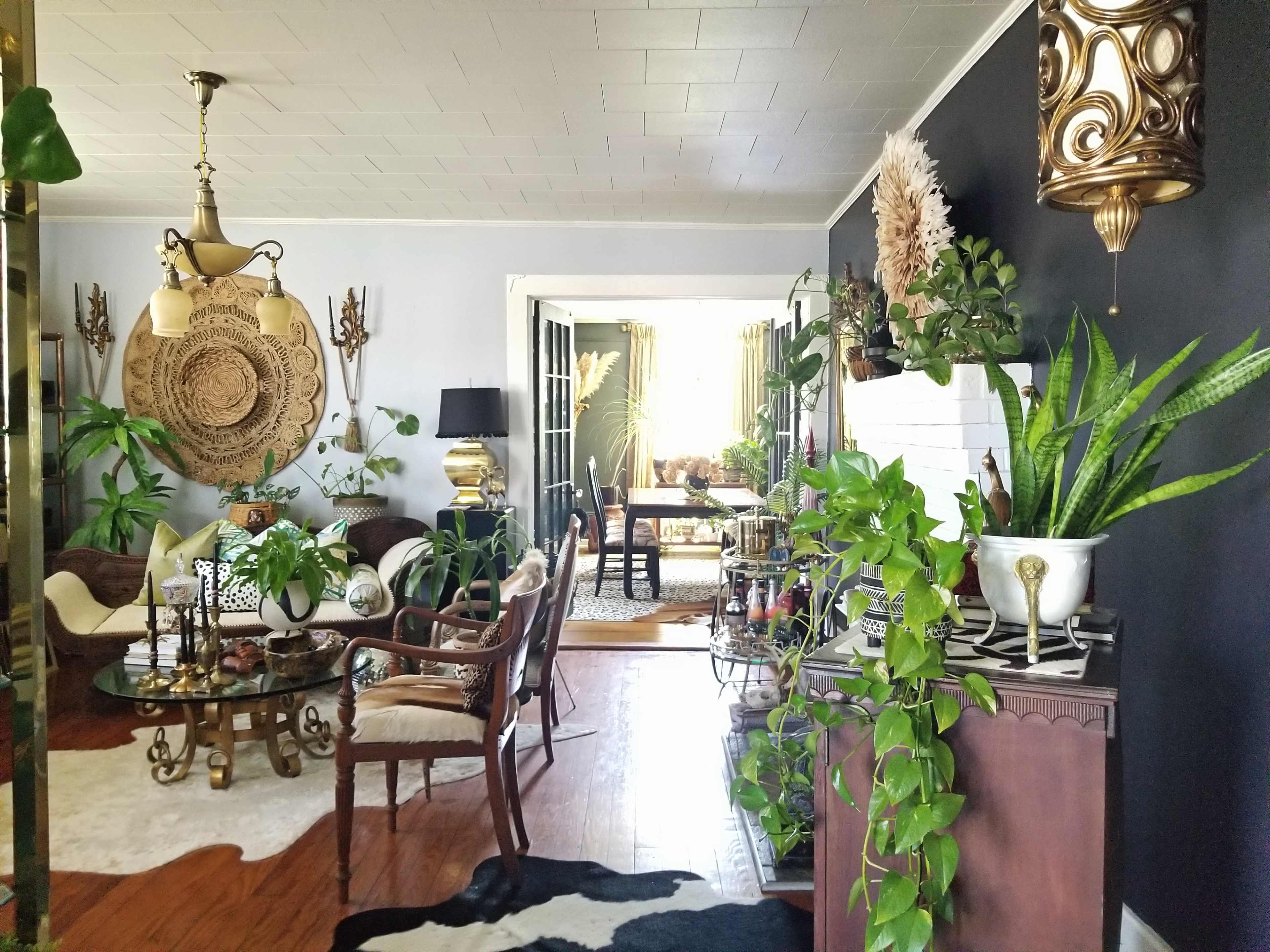 The image shows a stylish living area featuring a mix of plants, decorative furnishings, and a dining space visible in the background.